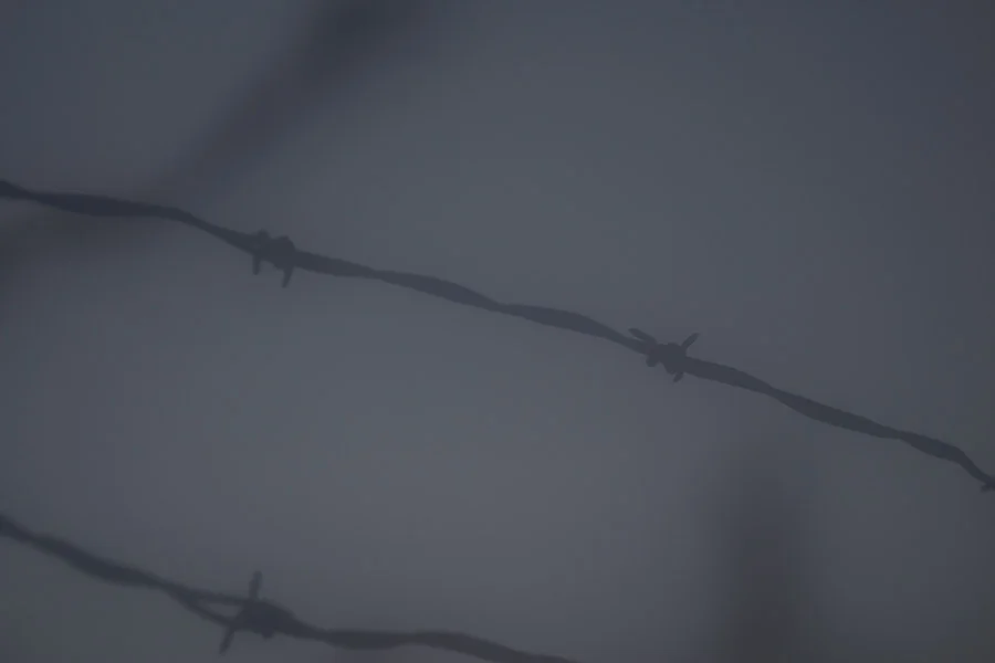 Barbwire (8 of 14).jpg