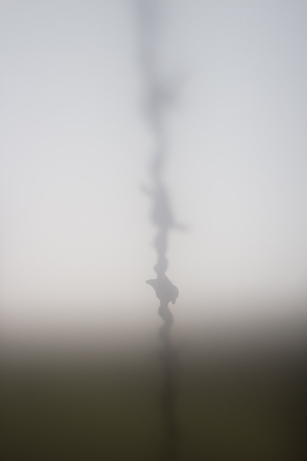 Barbwire (9 of 14).jpg