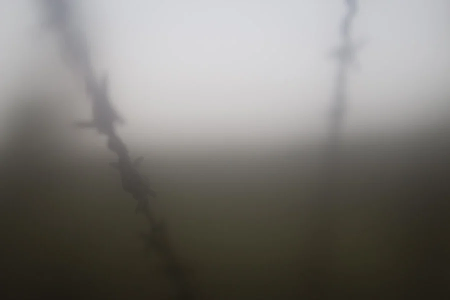 Barbwire (10 of 14).jpg