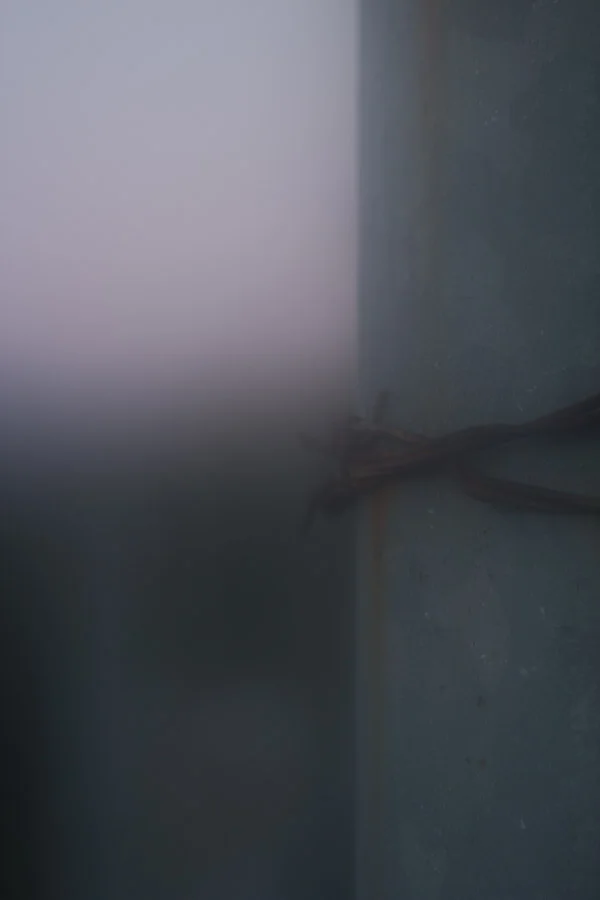 Barbwire (11 of 14).jpg