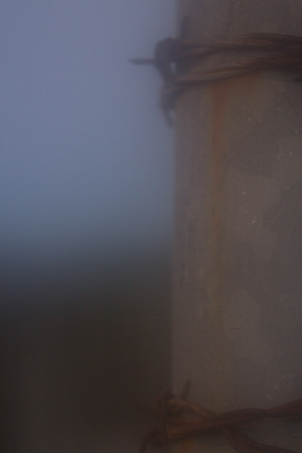 Barbwire (13 of 14).jpg