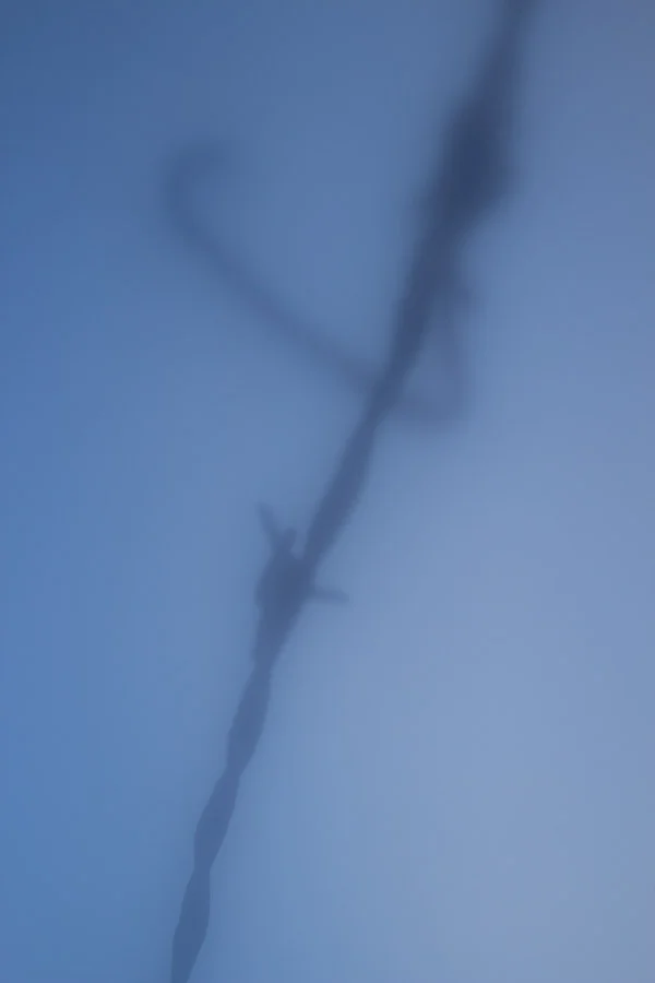 Barbwire (14 of 14).jpg