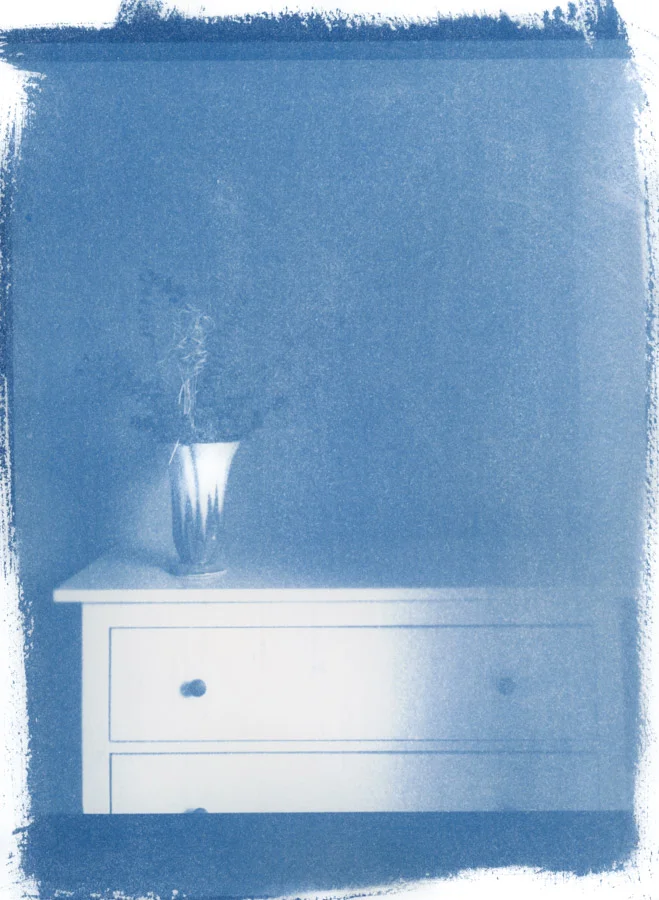 MPR_desousa_12_The White Dresser.jpg