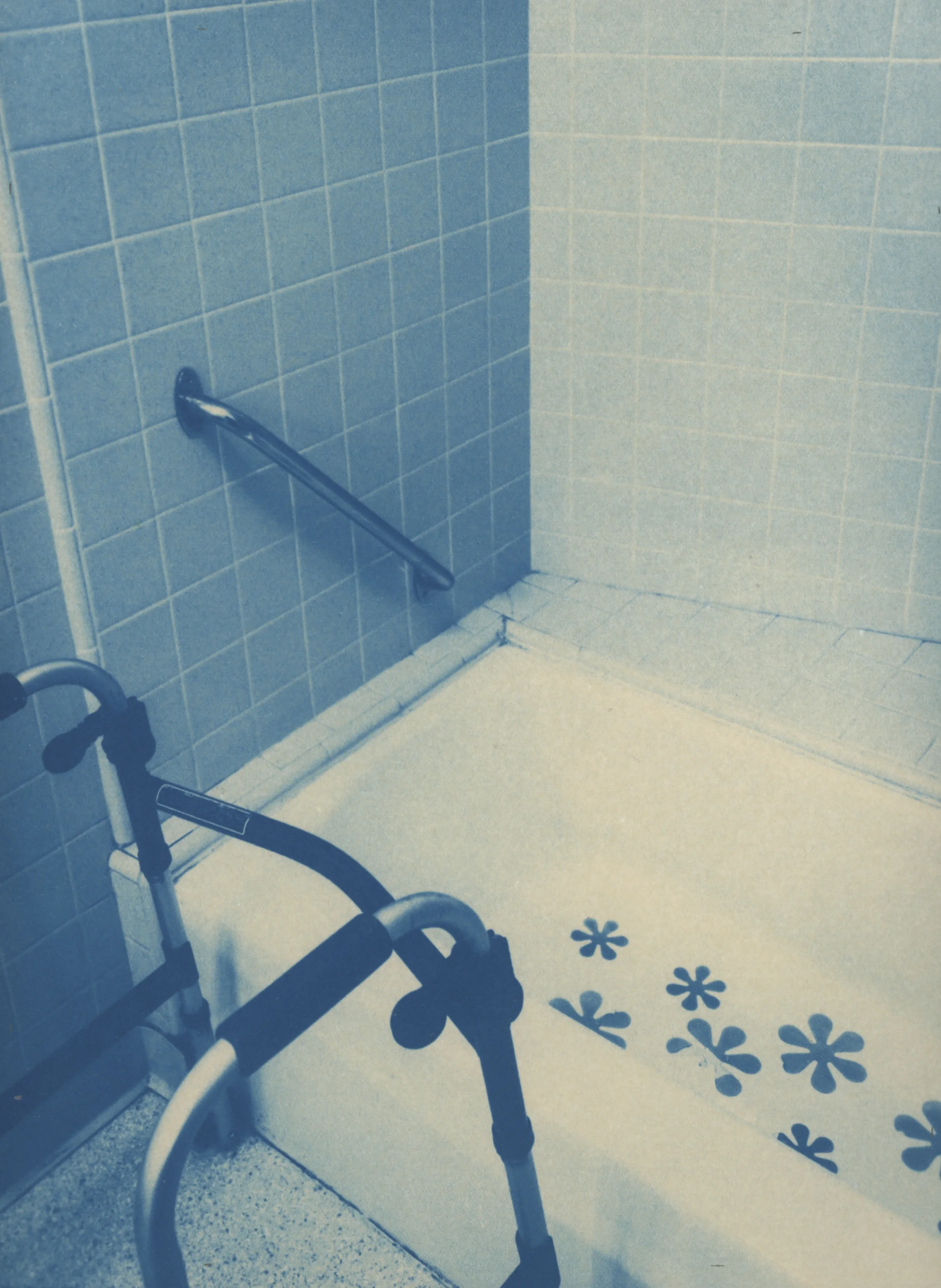 9_ydesousa_FlowersIntheTub_4.7.2017.jpg