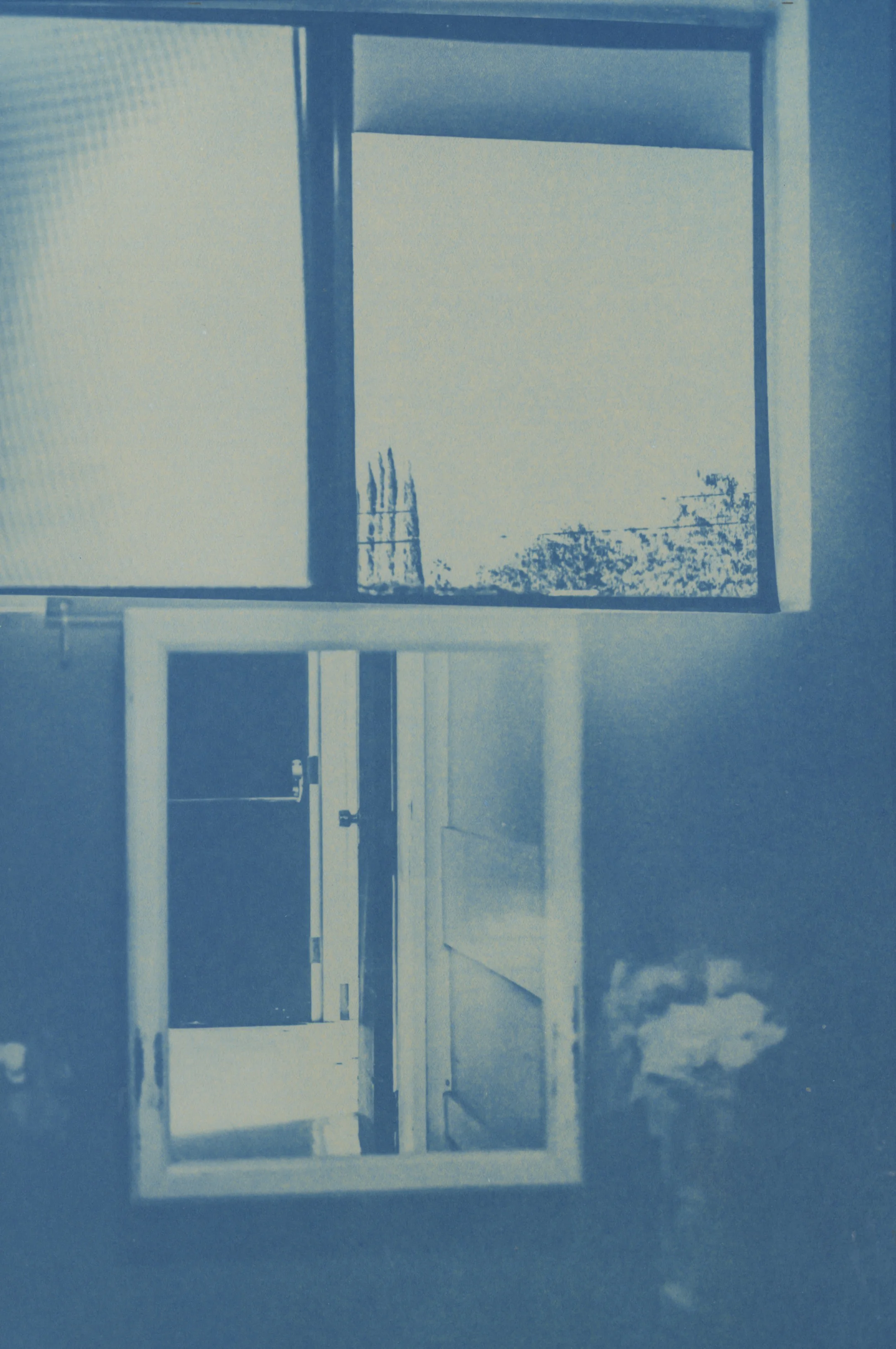 12_ydesousa_LookingOut_10.6.2017.jpg