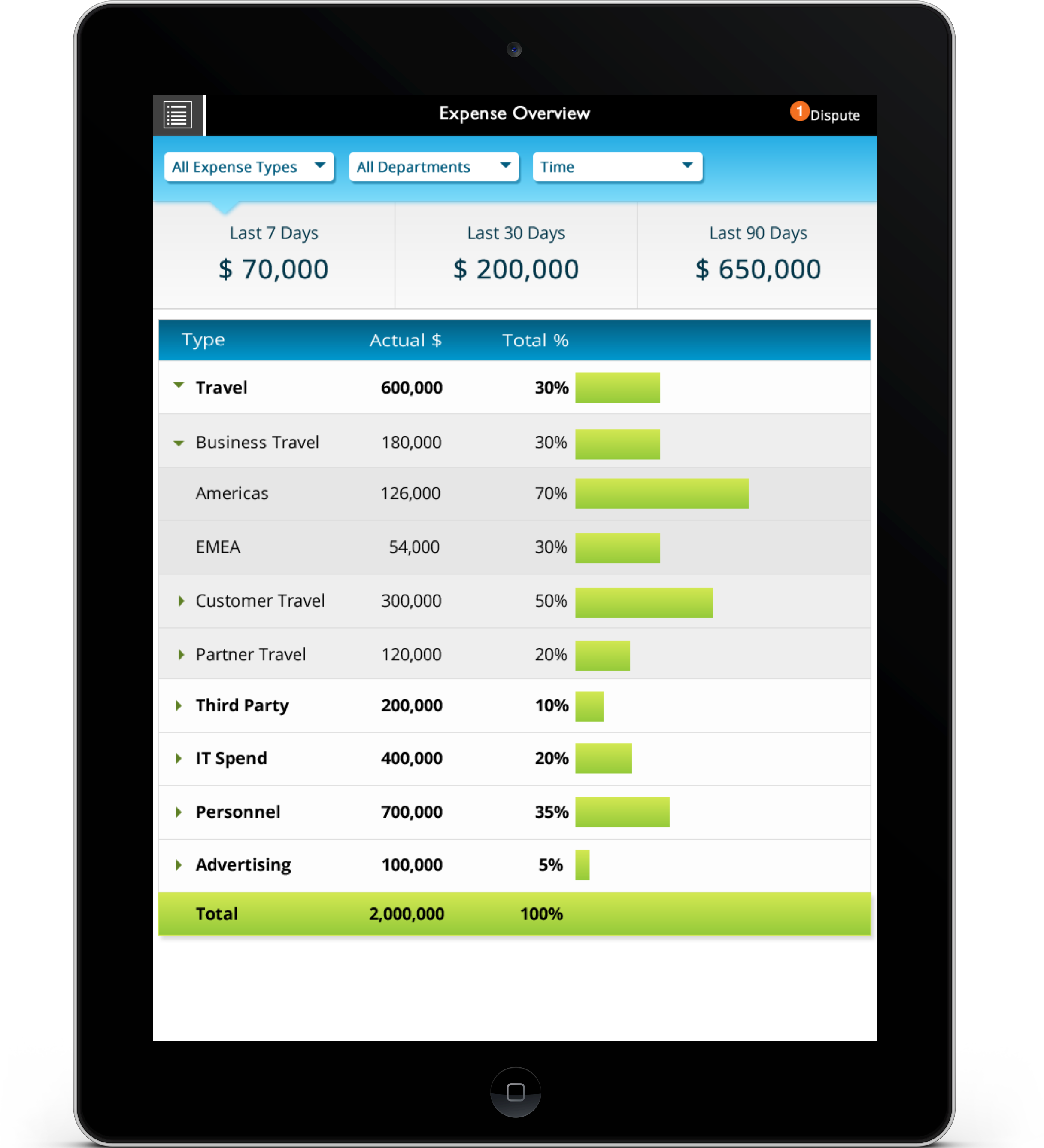 SAP EPM - visual design for expense overview