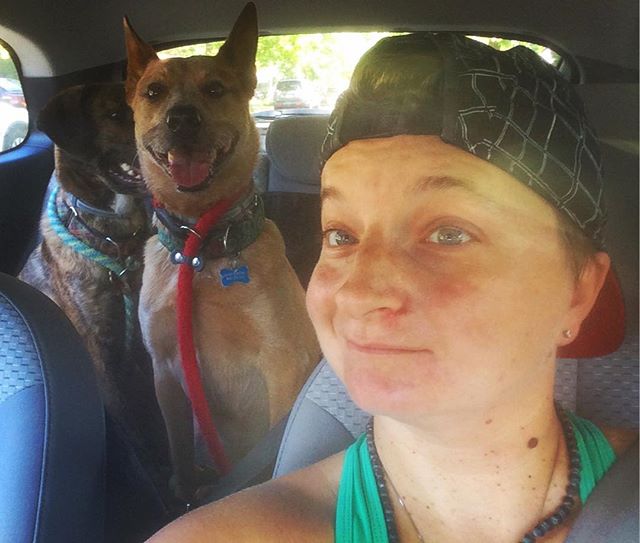 Rollin&rsquo; with my homies... #walkerthedog #gulliverstravels #summerfun #poolday #tograndmothershousewego #adoptdontshop #crossingpathsanimalrescue #love #doglover #gooddog #cattledogsofinstagram #plotthoundsofinstagram #goodday #nonbinary #transg