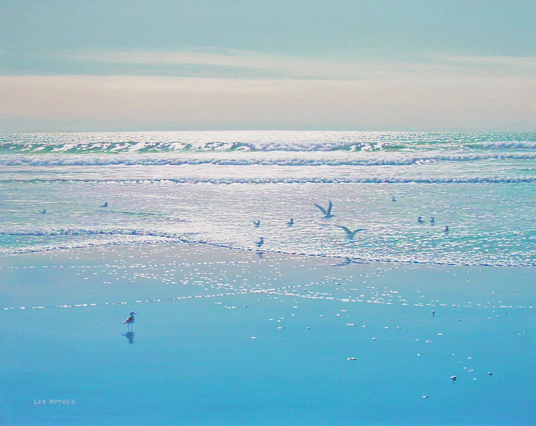 Afternoon with a few Birds