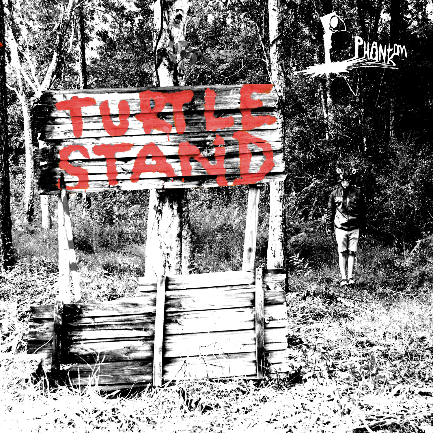TurtleStand_FrontCover_Logo_1500pWeb.jpg