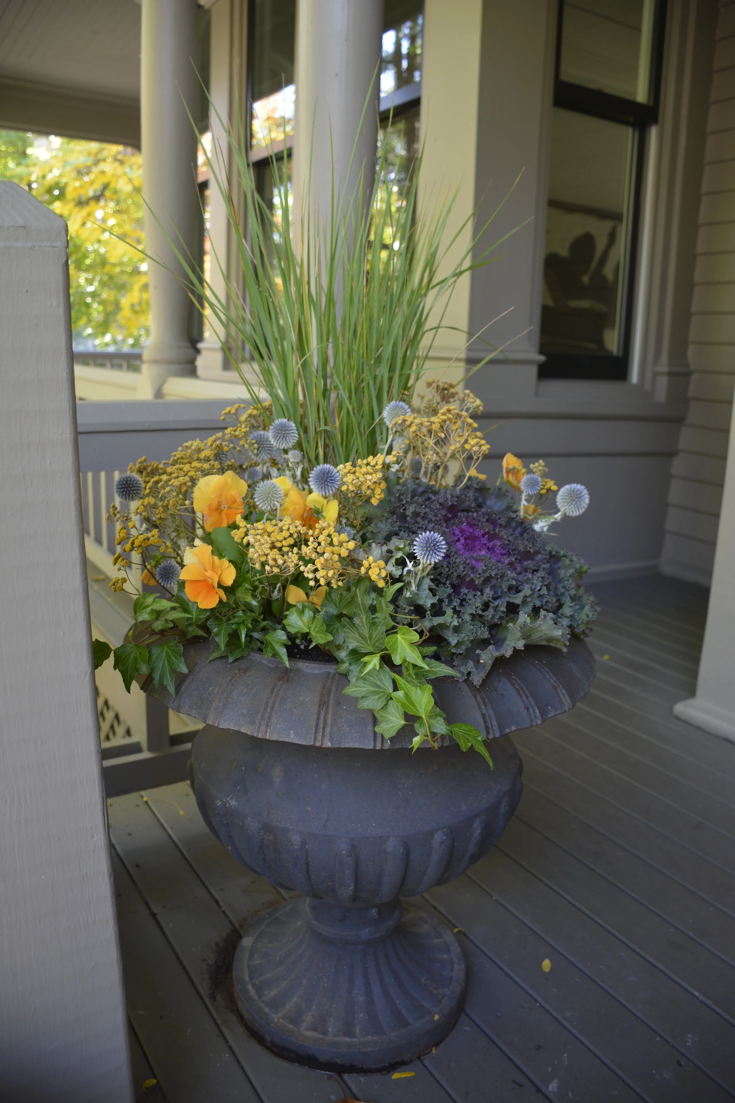  Early fall container 