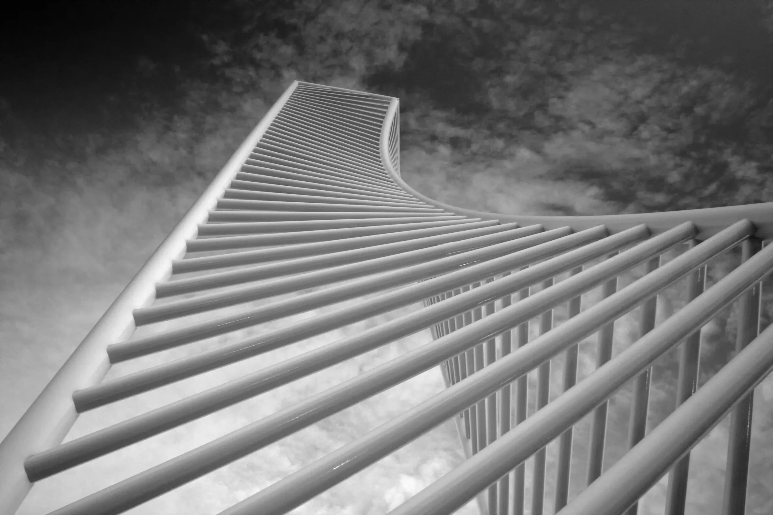 The Ingenuity Of An Artist 4 - B&W IR
