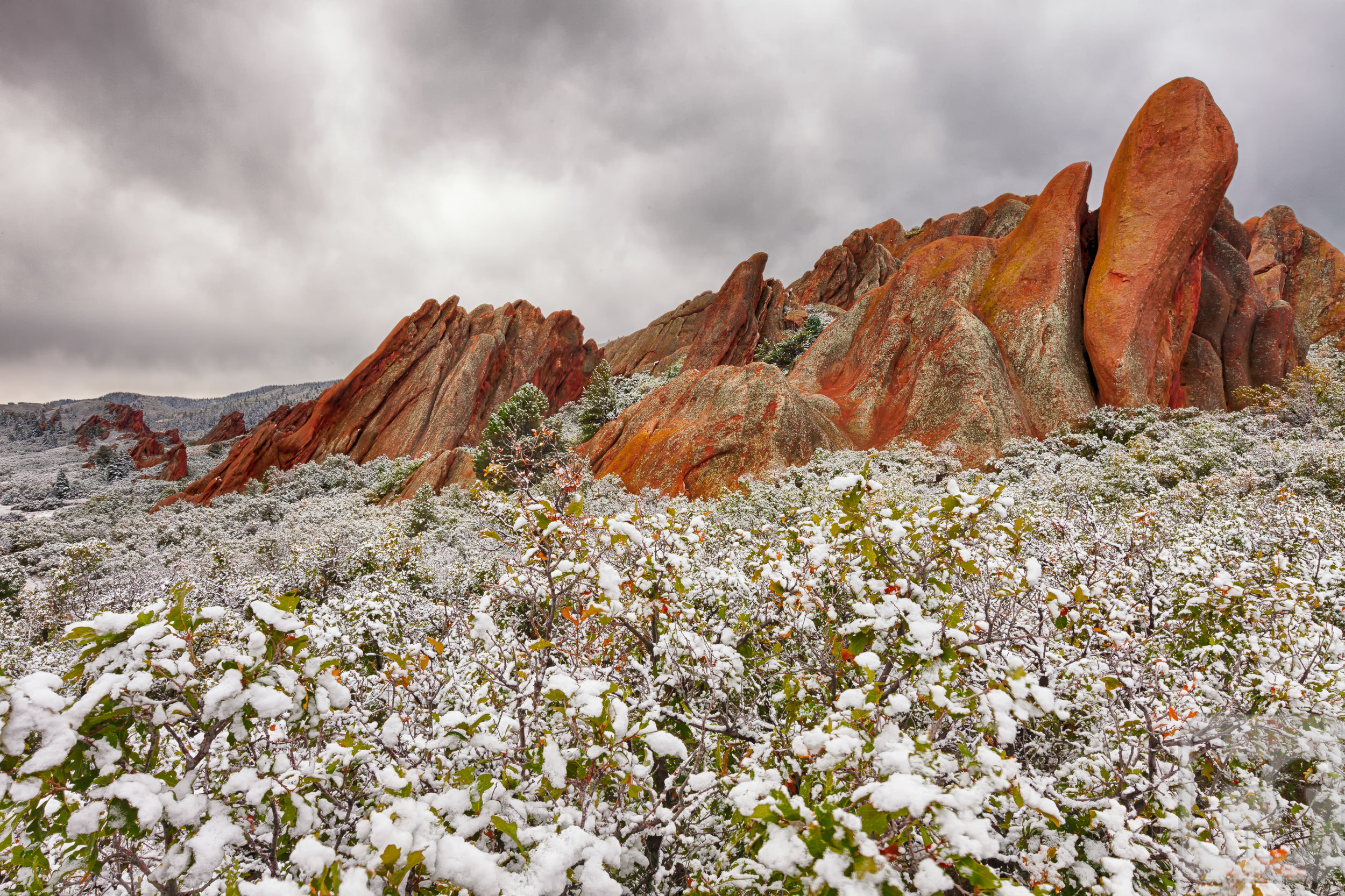 Nature's Fairy Dust.