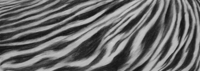 Sea Patterns 5.jpg