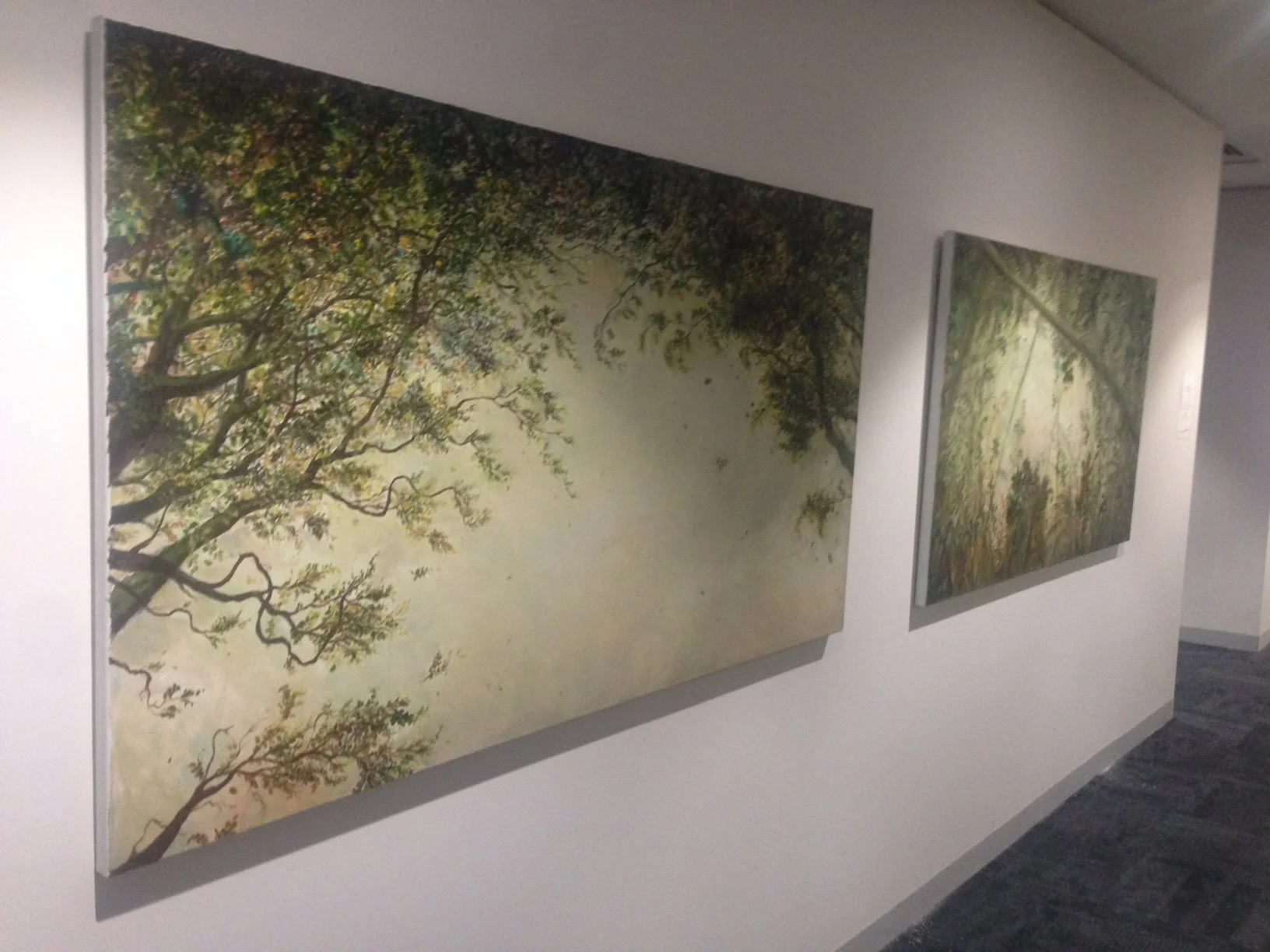 Canopy and Forest Light.jpg