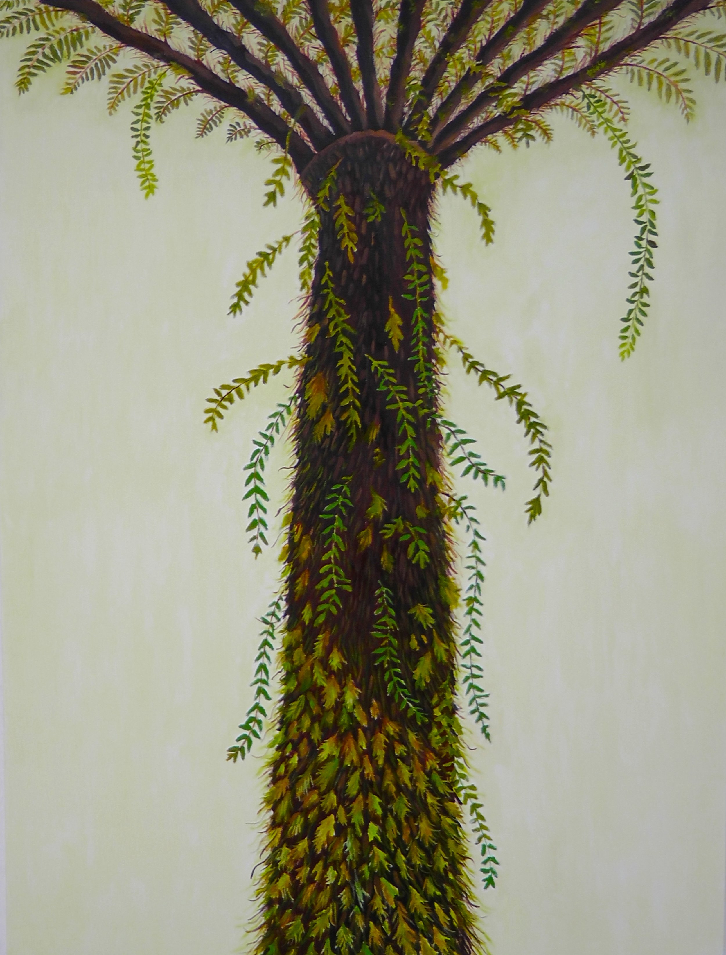 6. Fern Covered Fern Tree.JPG