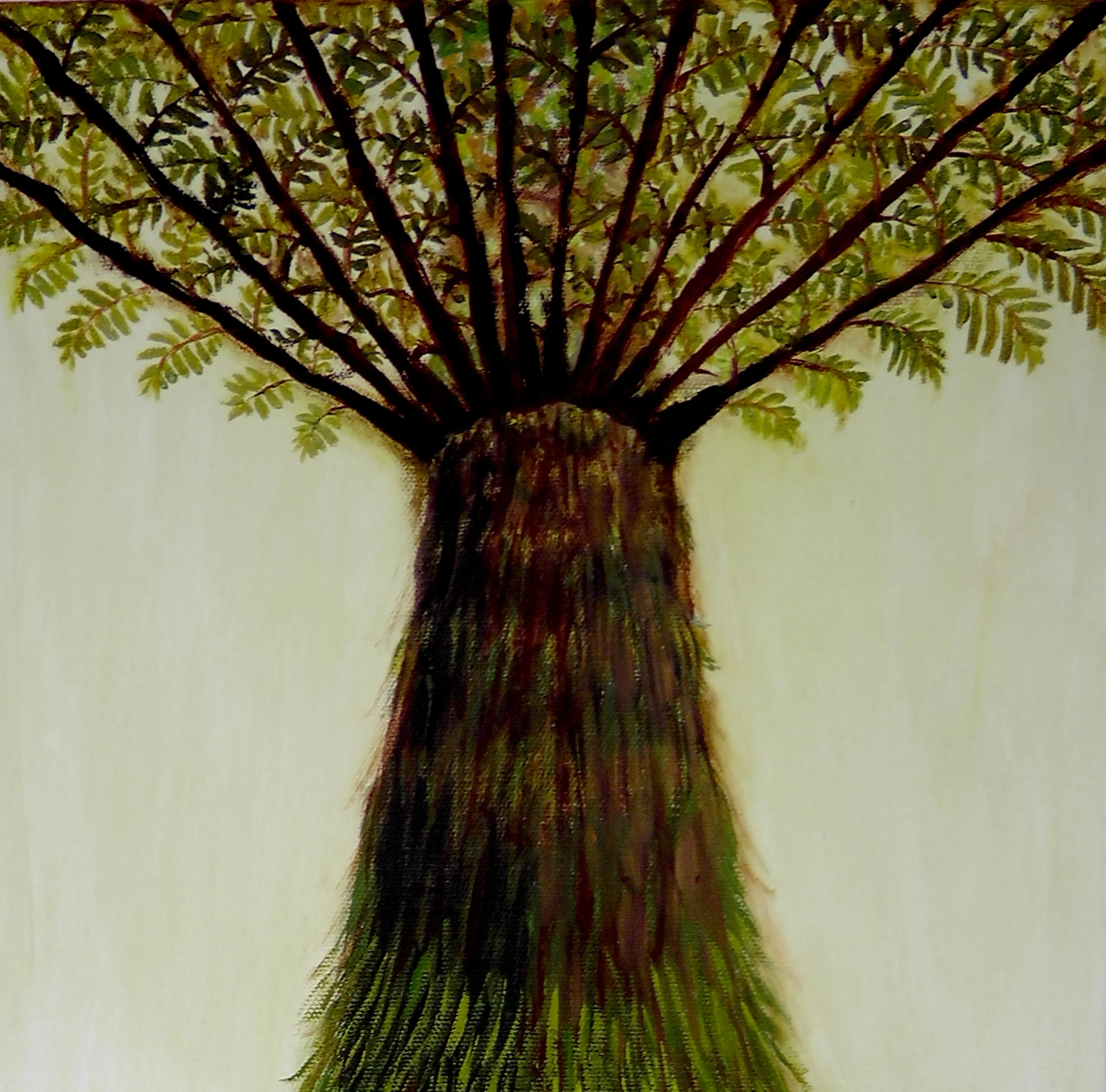 7. Forest Wonders 1.JPG
