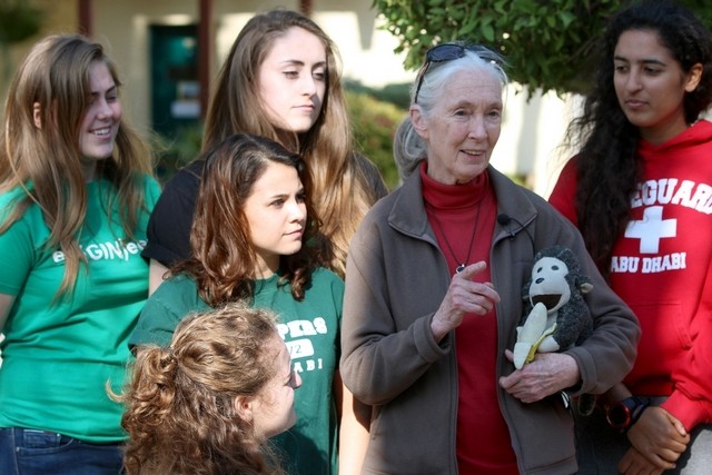 The National – Jane Goodall Returns to the UAE