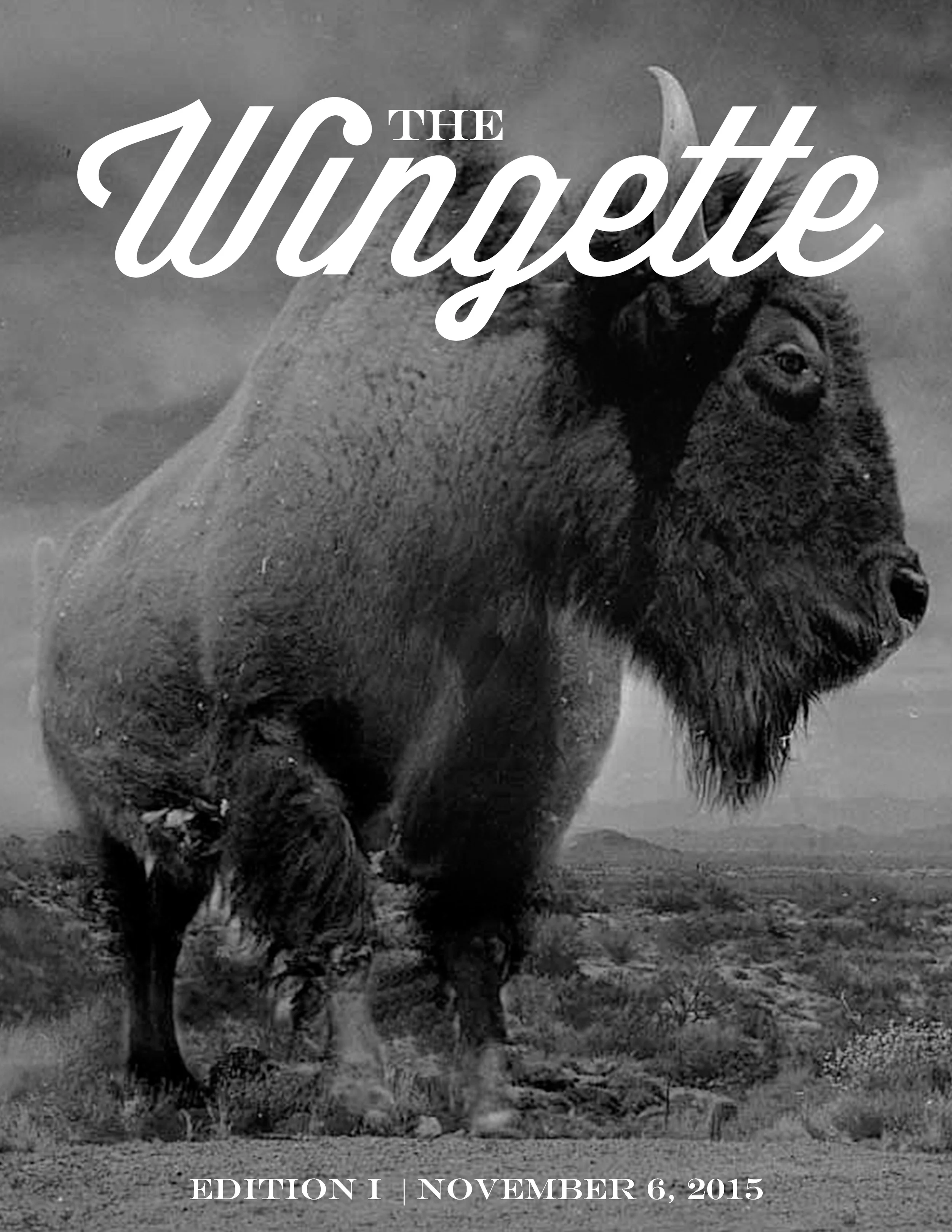 Wingette Newsletter.jpg