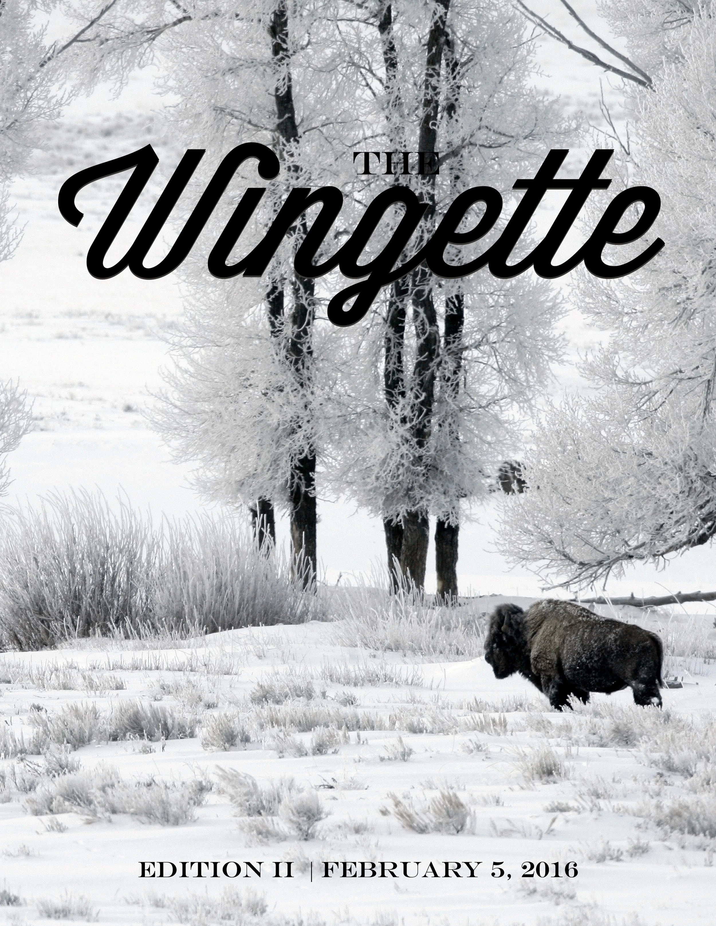 Winter Cover Photo.jpg