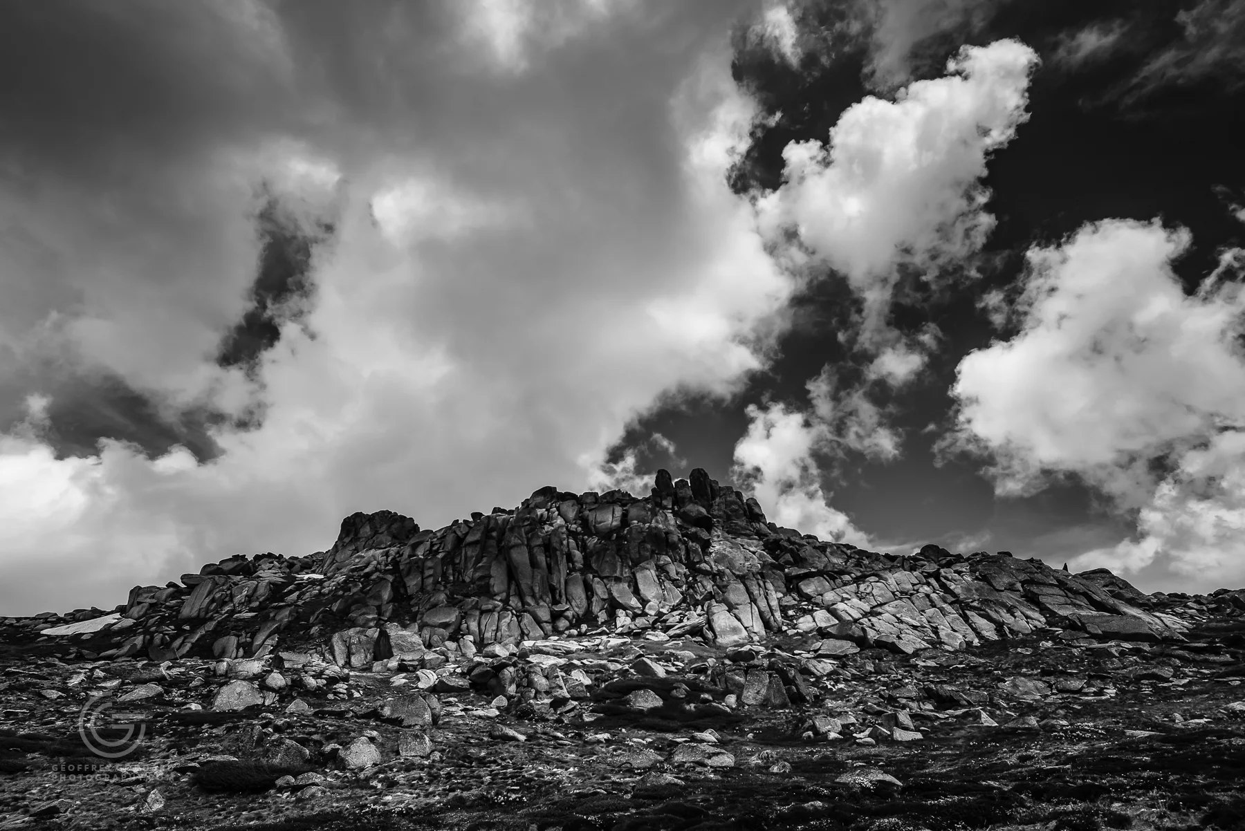 DSC_1209.jpg