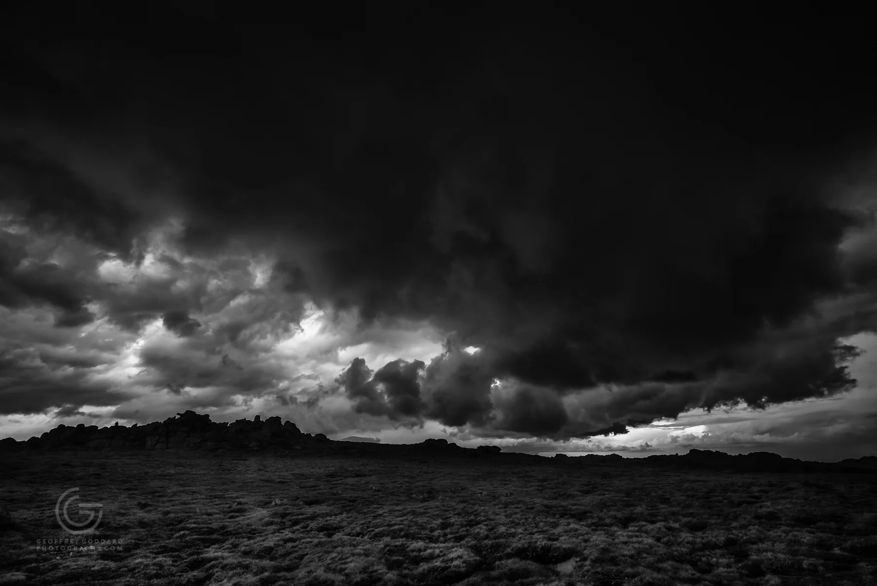DSC_1398.jpg