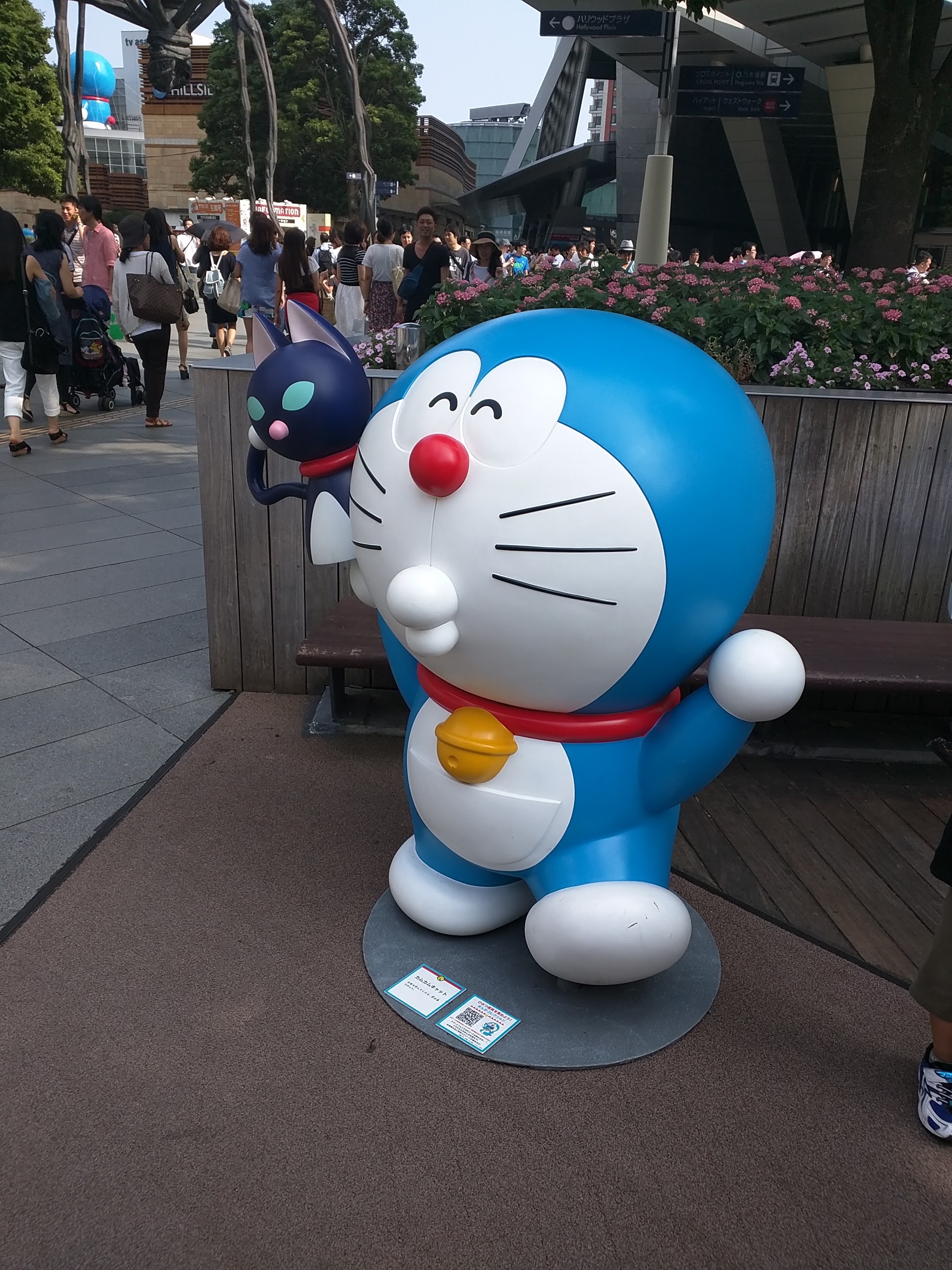 IMG_20150808_151658.jpg