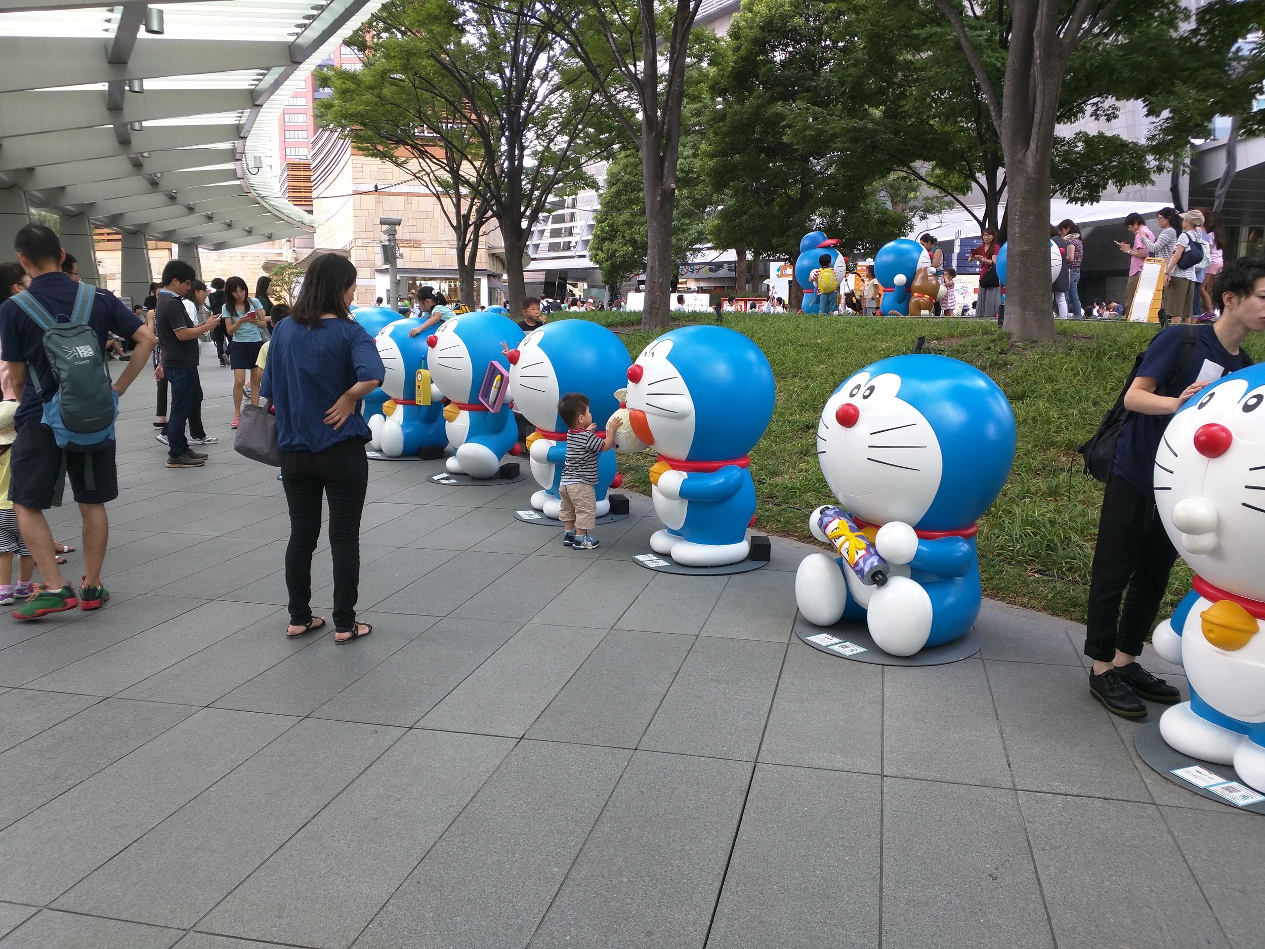 IMG_20150811_131638.jpg