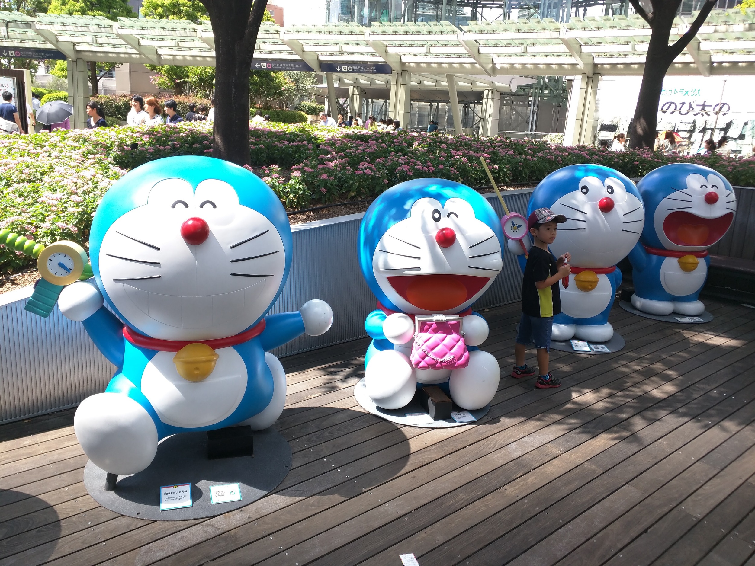 IMG_20150811_131719.jpg