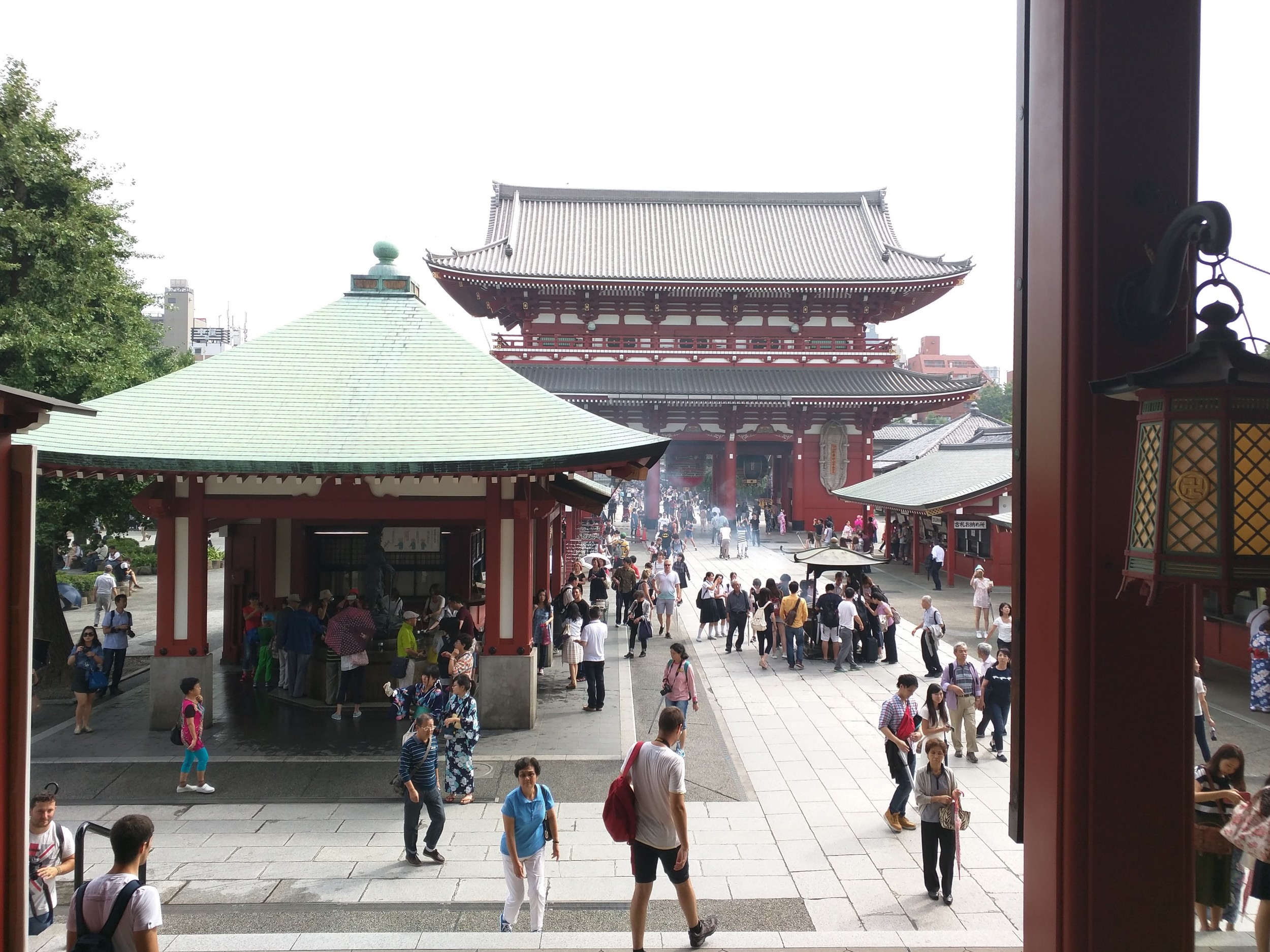 IMG_20150901_140553.jpg