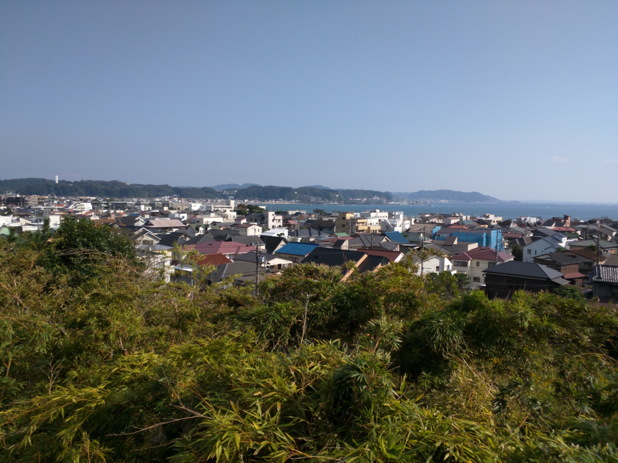 IMG_20151018_134534.jpg