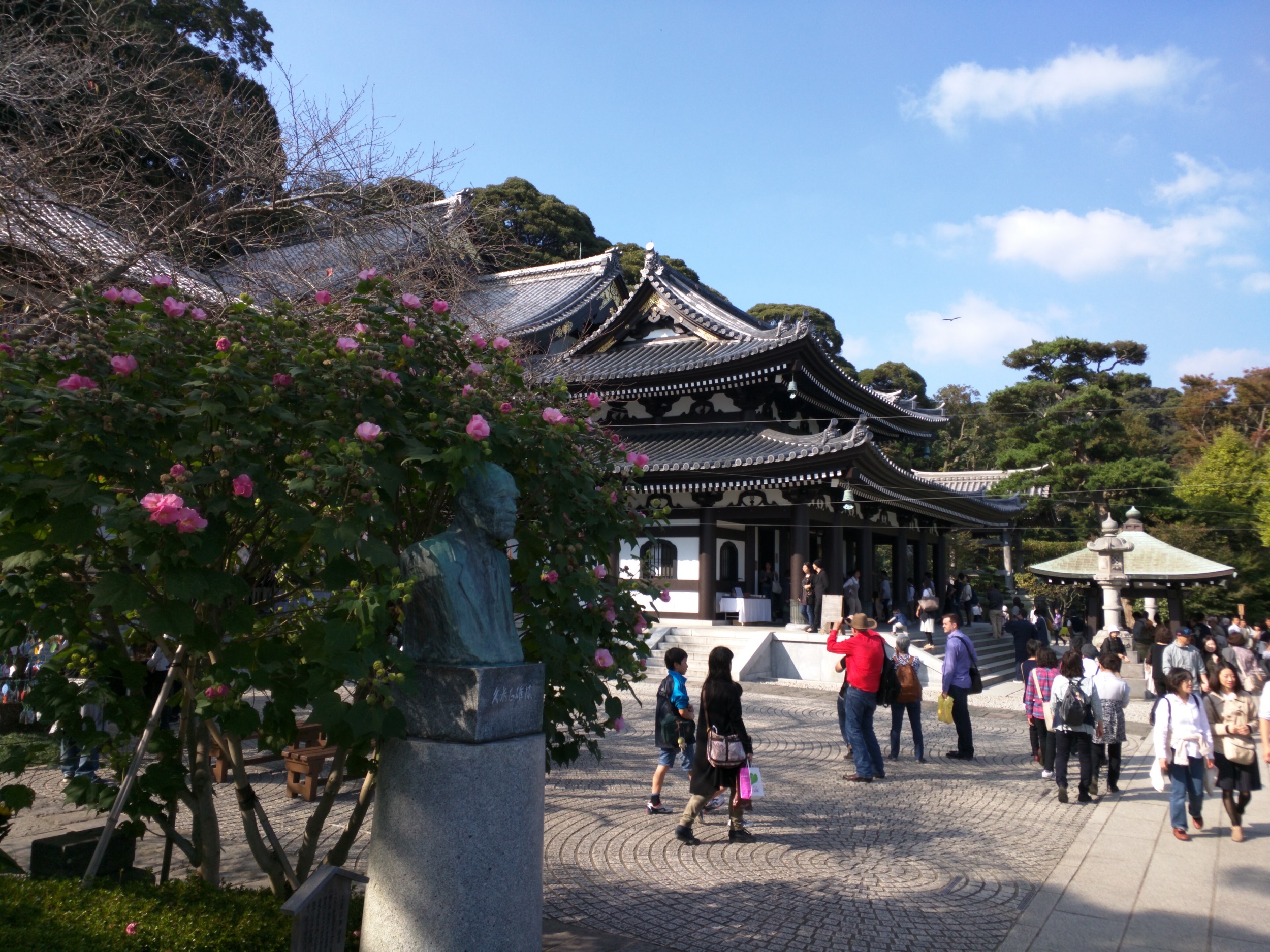 IMG_20151018_134607.jpg