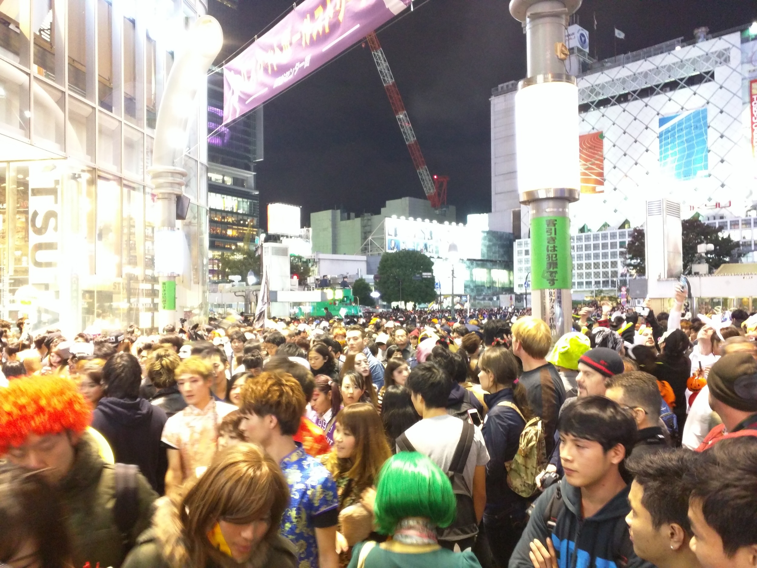 IMG_20151031_214447.jpg