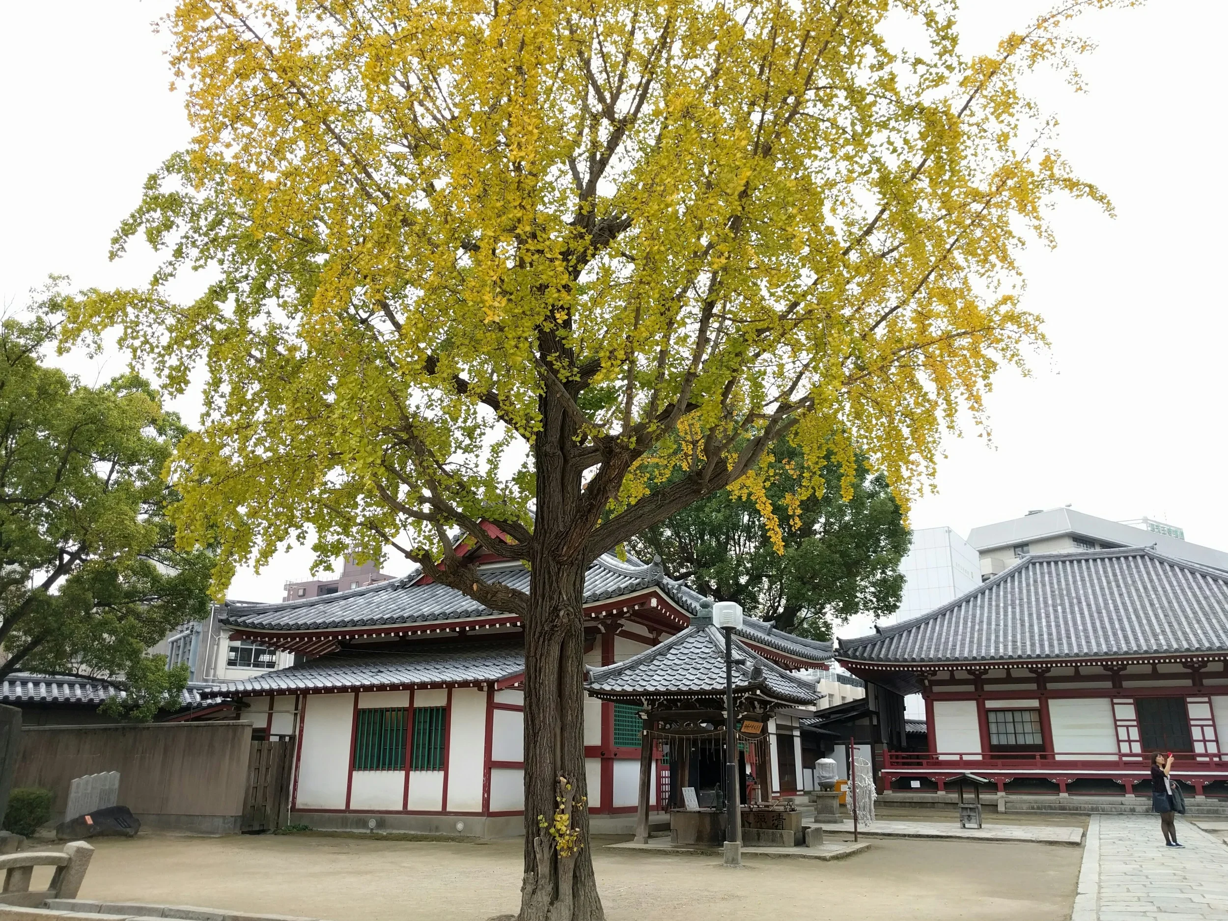 IMG_20151107_141348~2.jpg