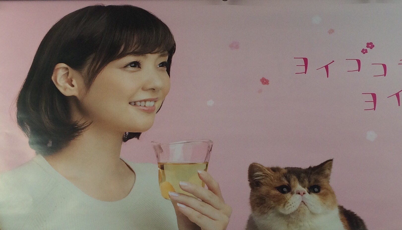 We just loved this kitty ad on the Yamanote!