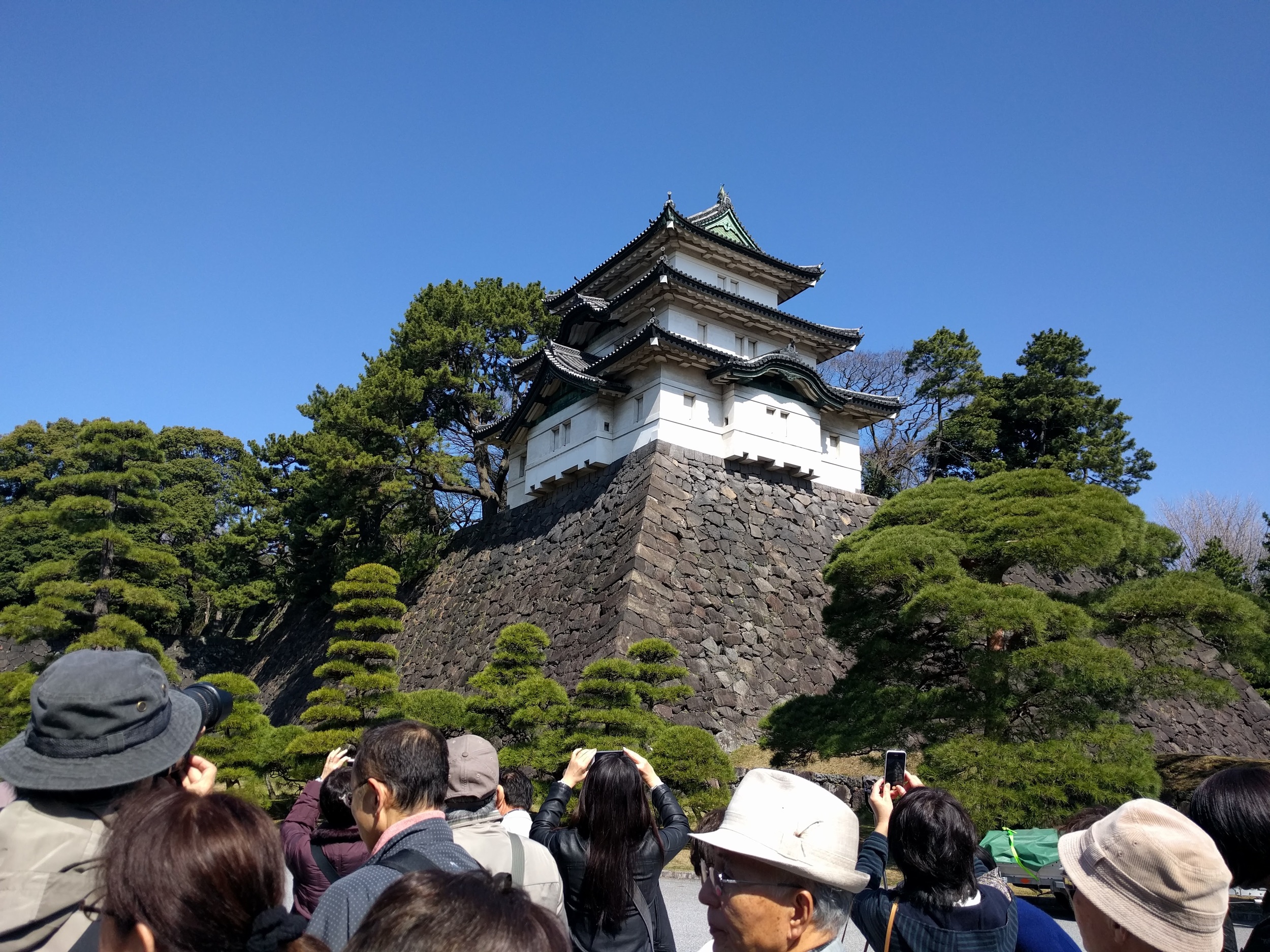 IMG_20160317_102112.jpg