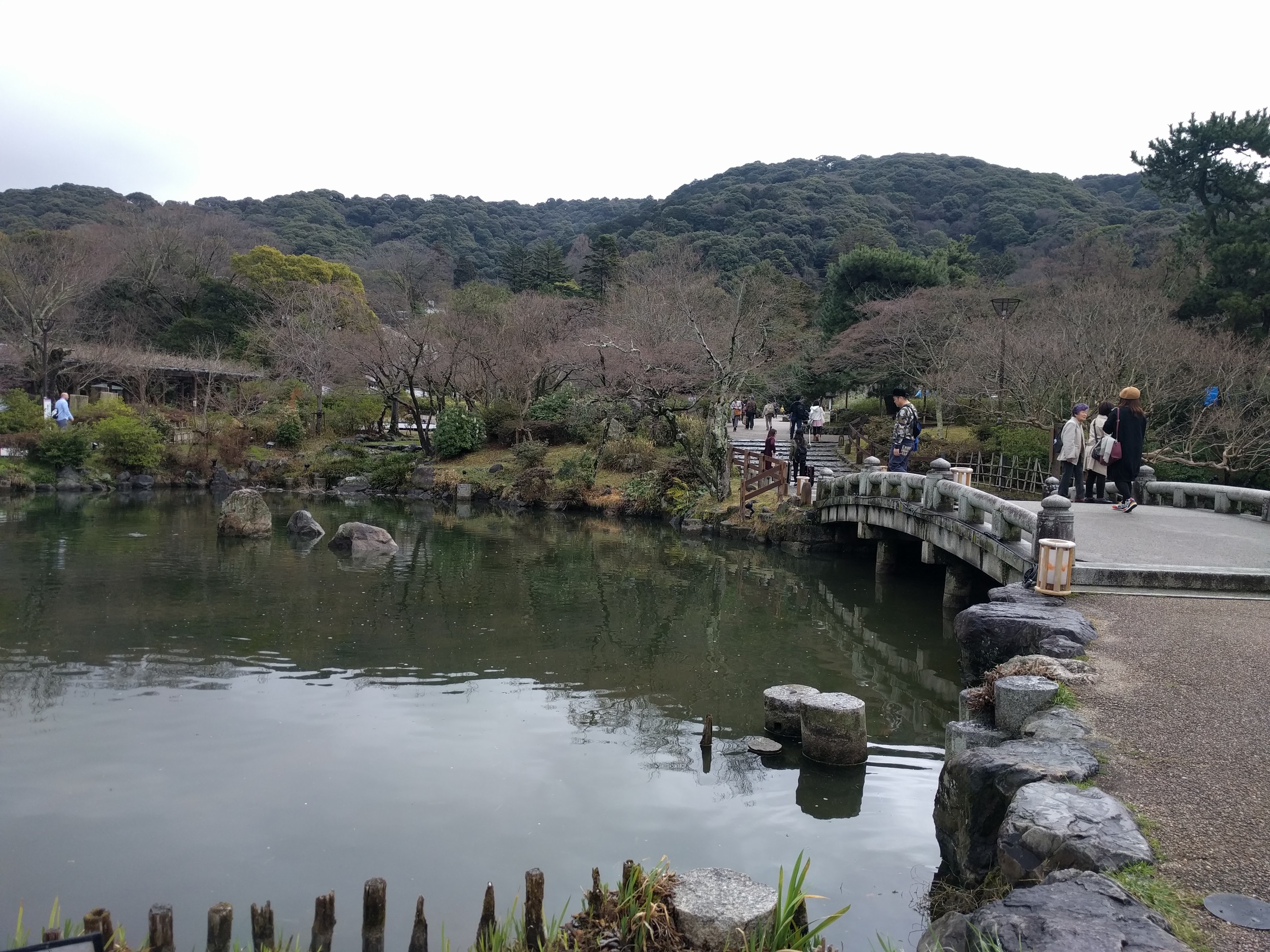 IMG_20160319_105200.jpg