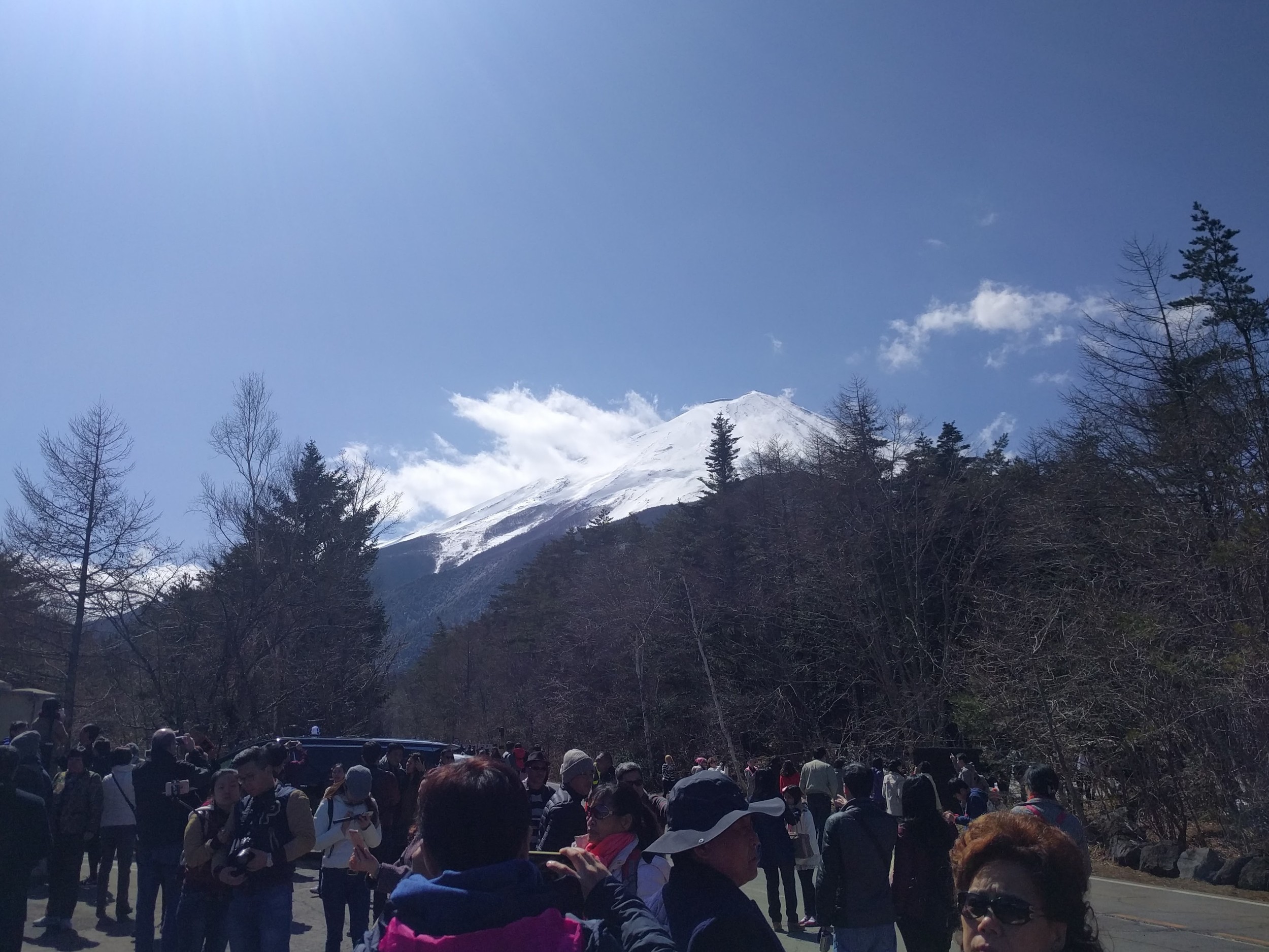 IMG_20160325_103807.jpg