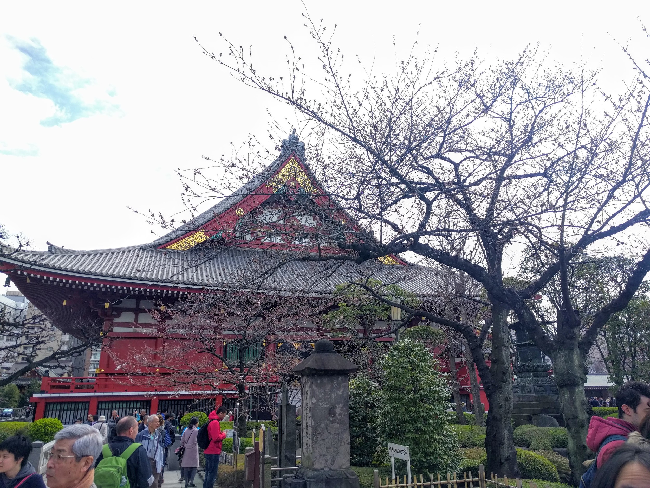 IMG_20160326_110400.jpg