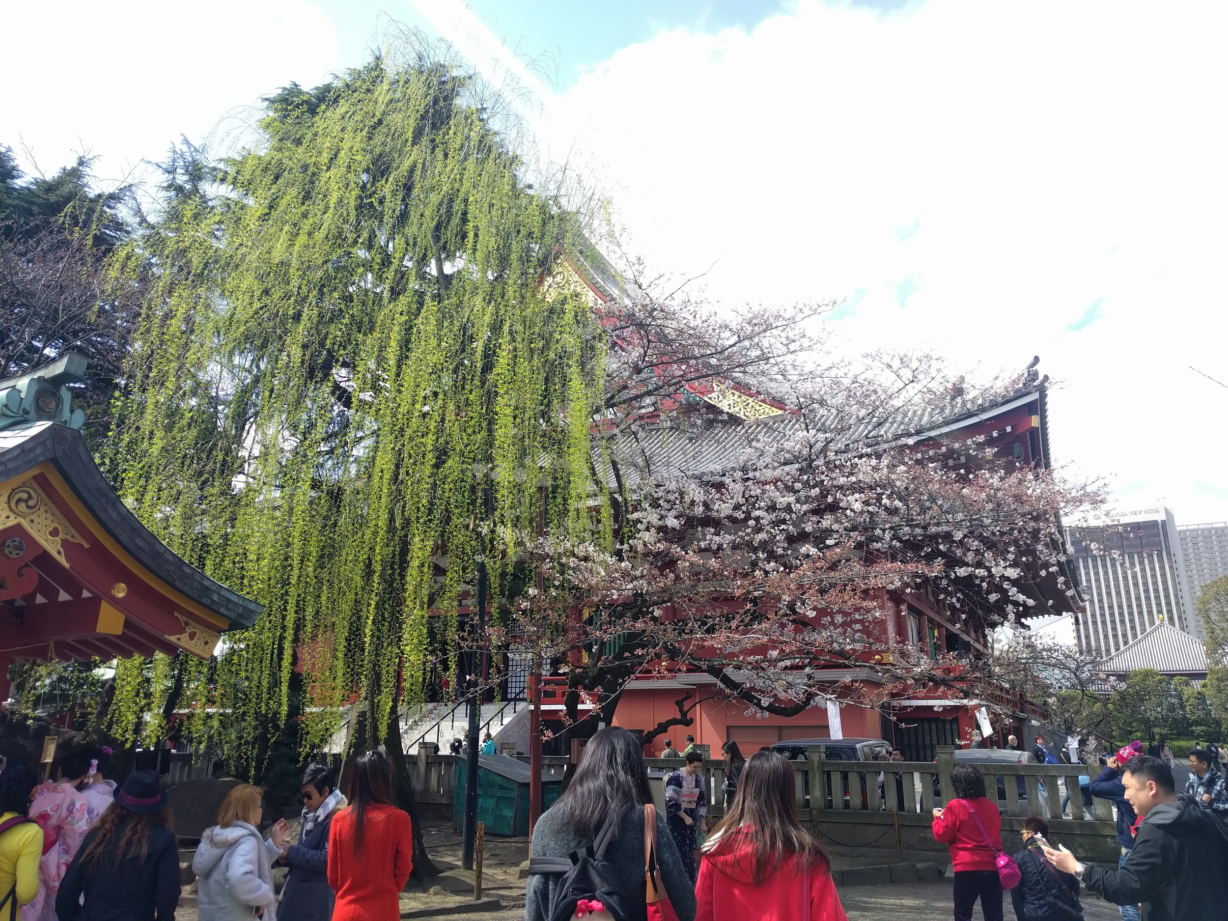 IMG_20160326_111609.jpg