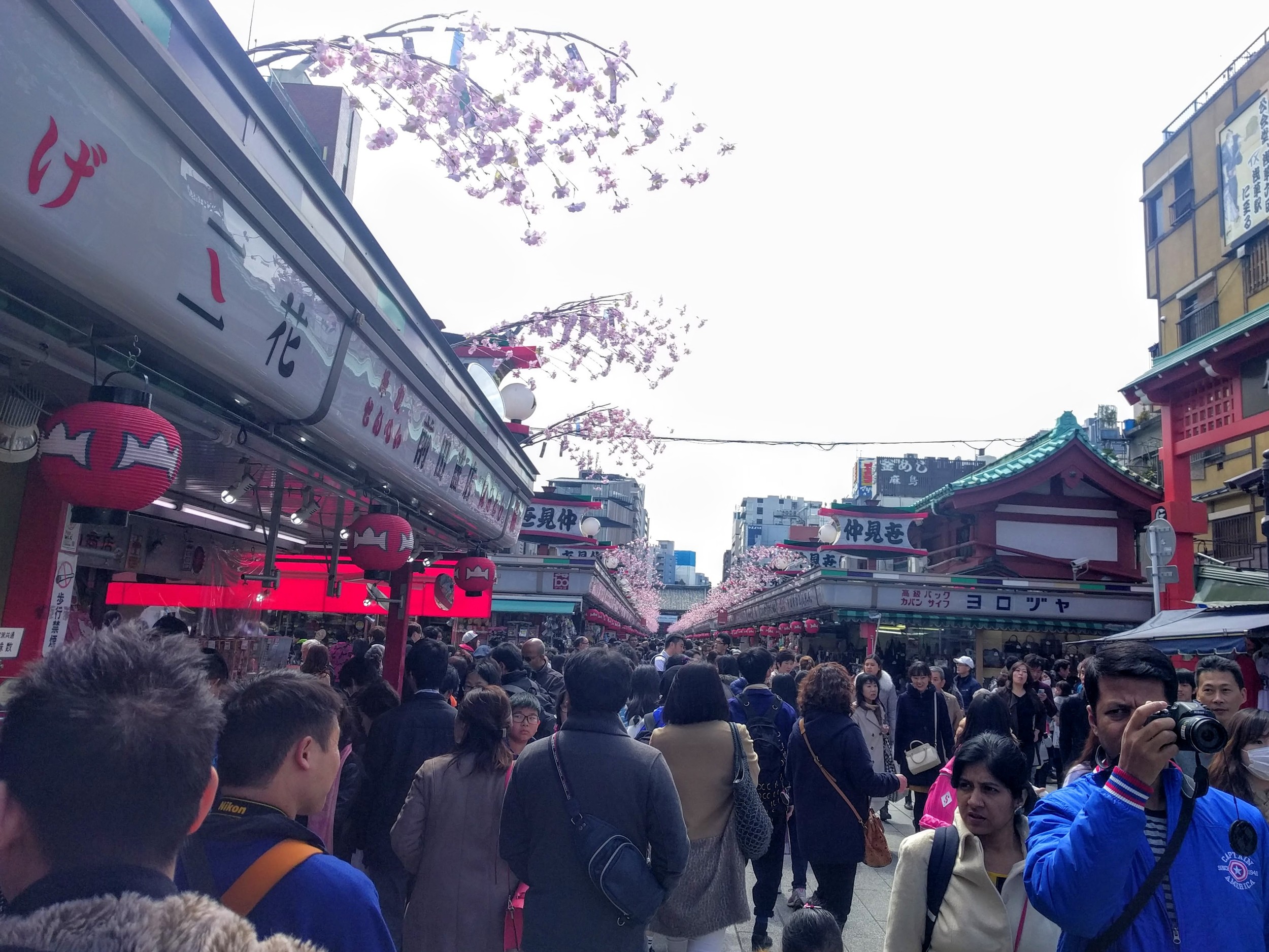 IMG_20160326_113734.jpg