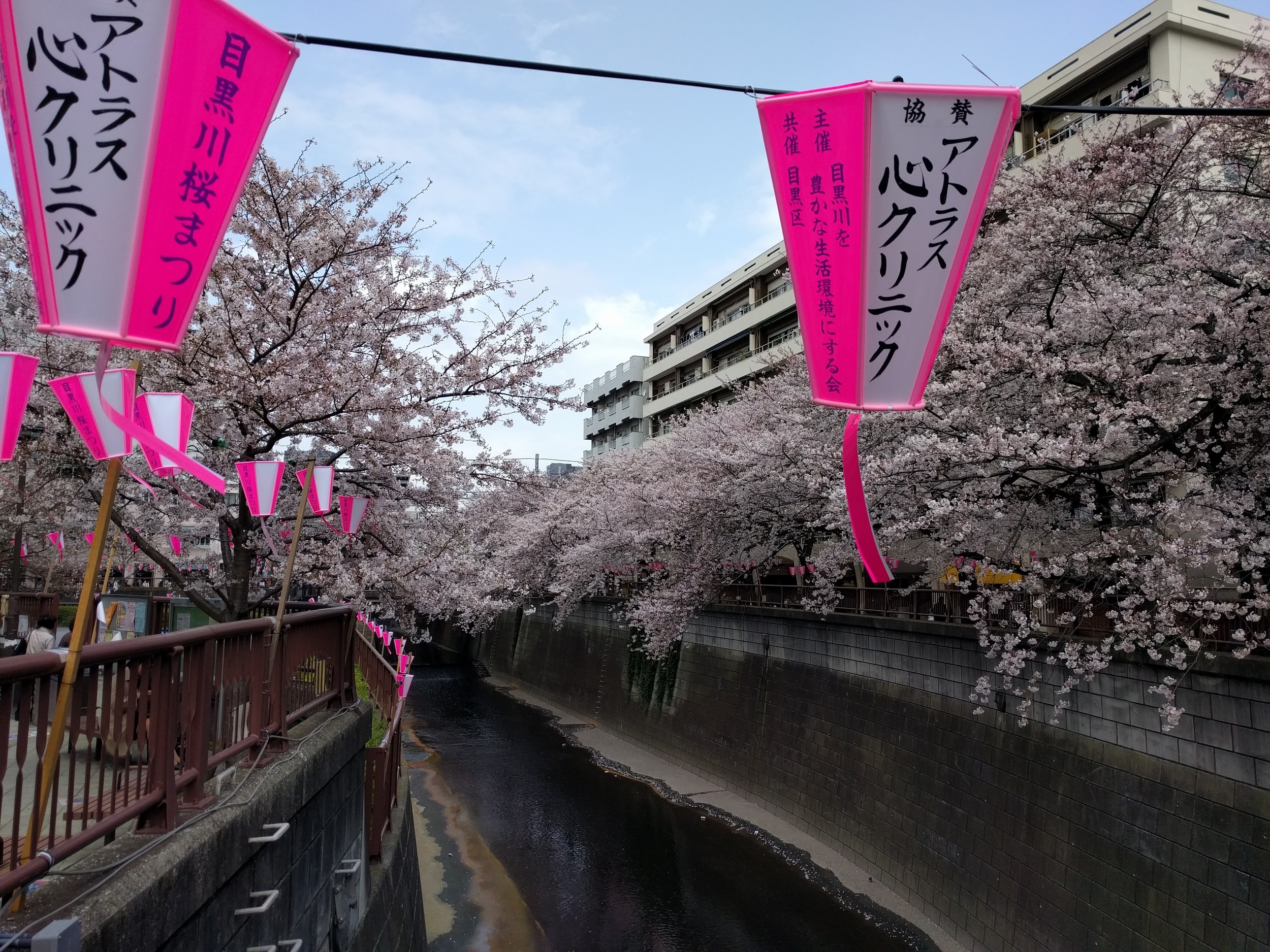 IMG_20160401_105540.jpg