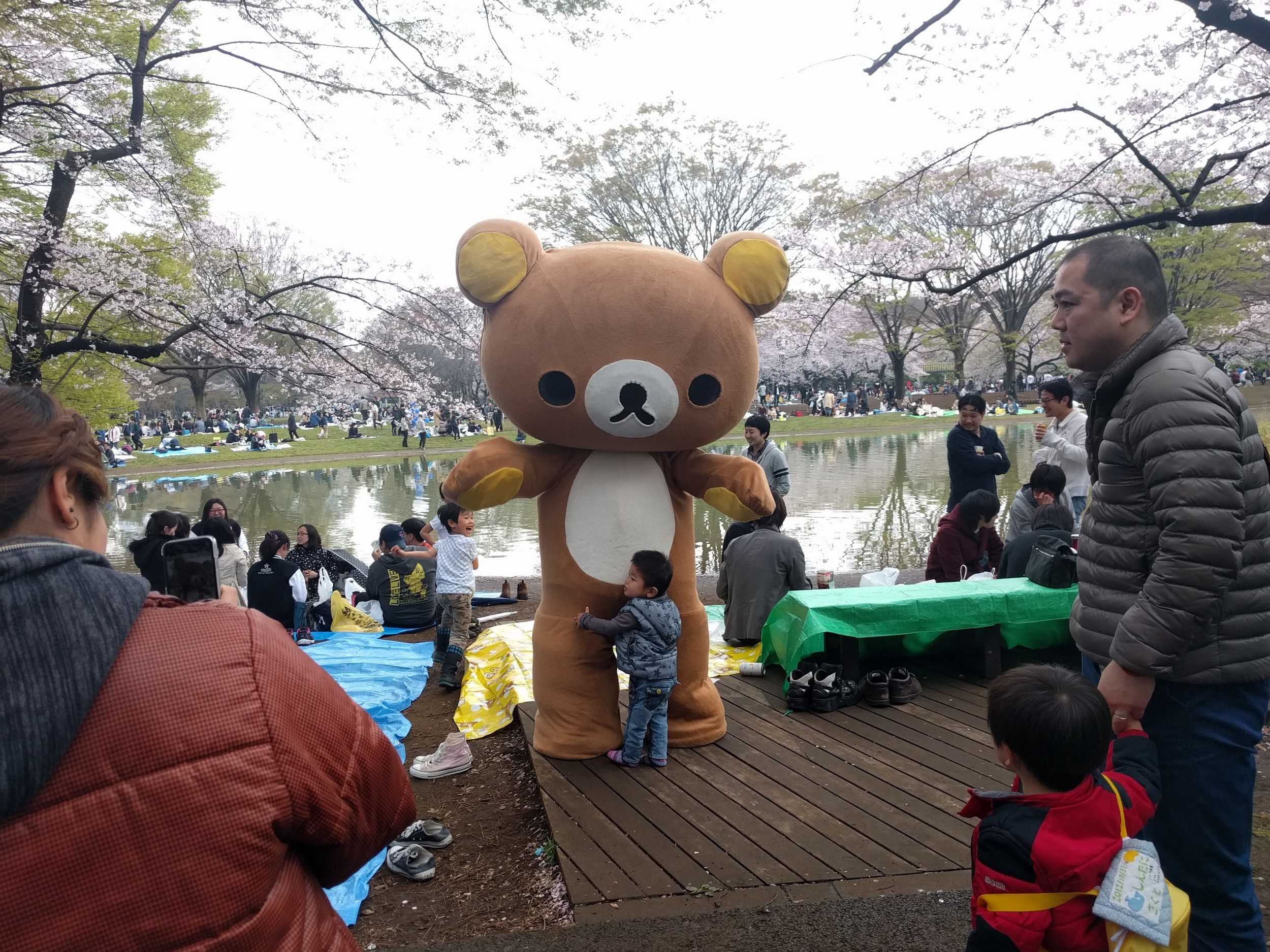 IMG_20160403_142233.jpg