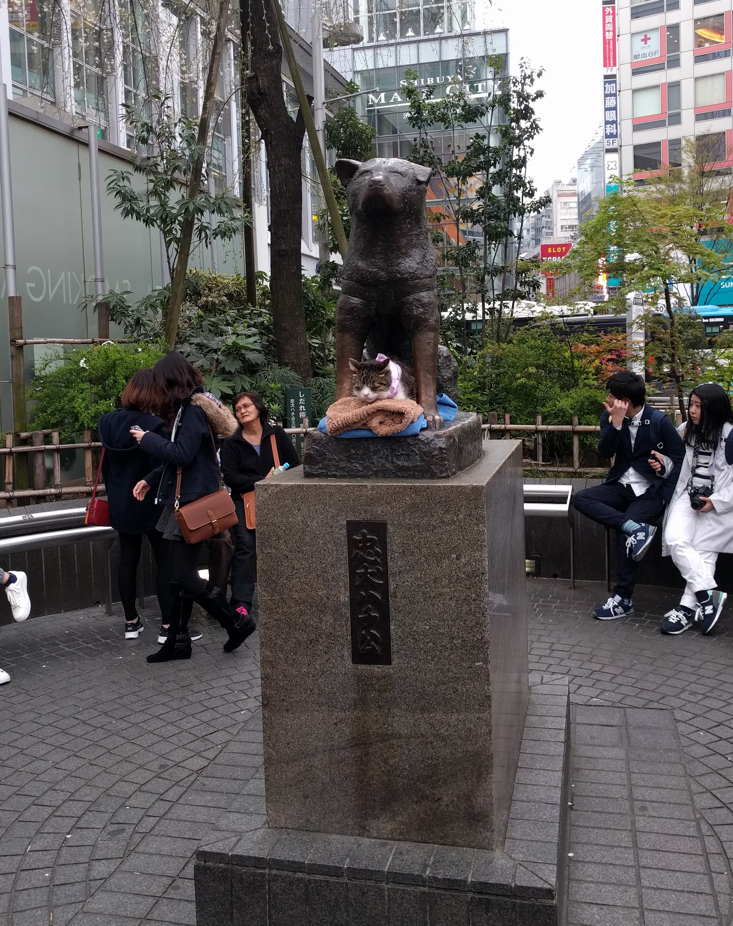 IMG_20160401_164908.jpg