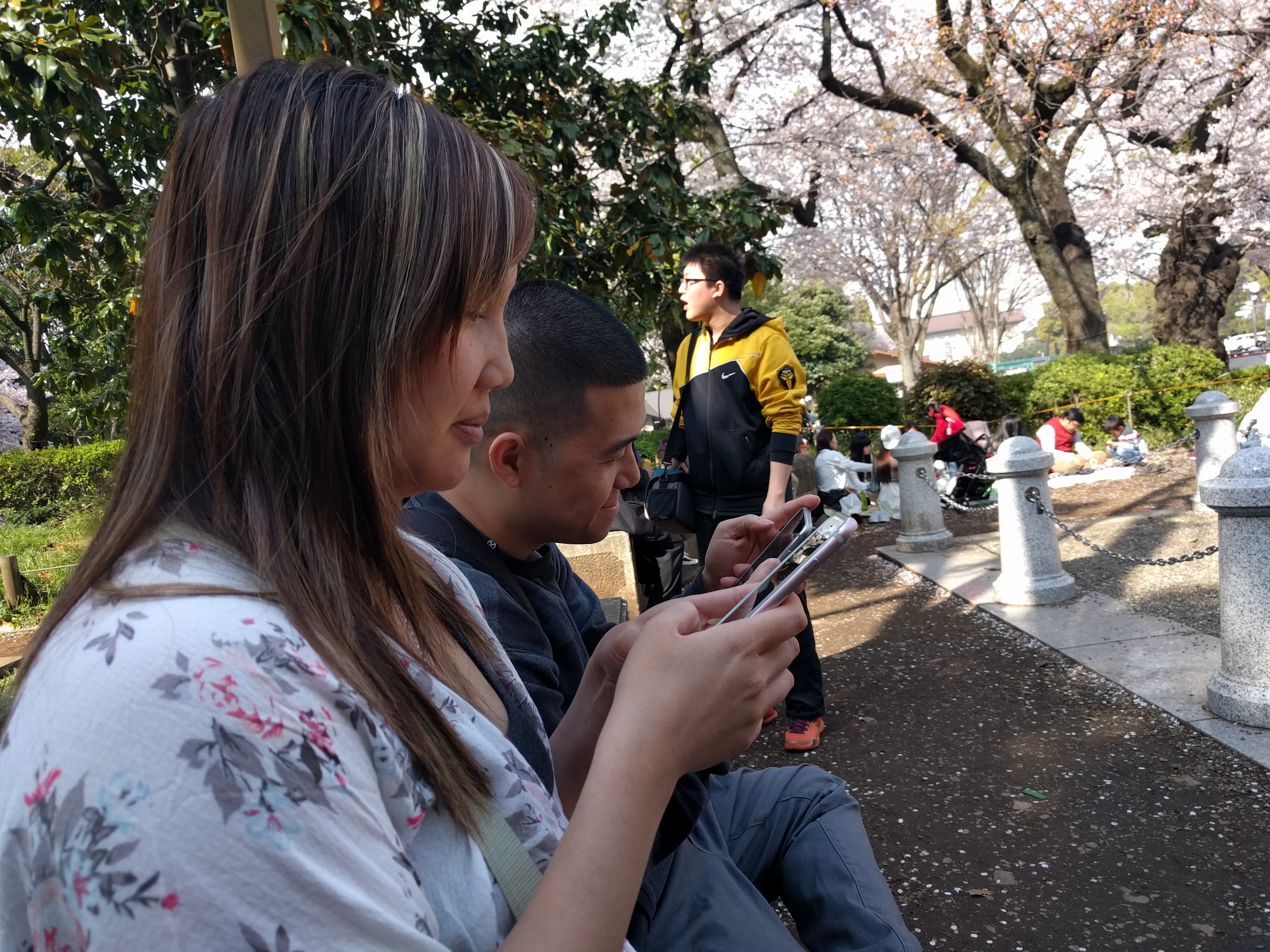 IMG_20160406_143317.jpg