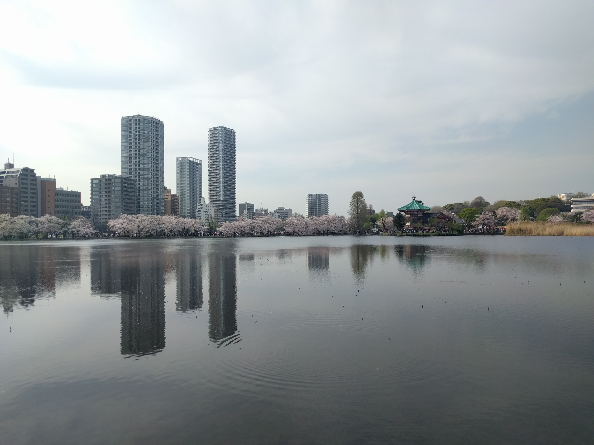 IMG_20160406_154342.jpg