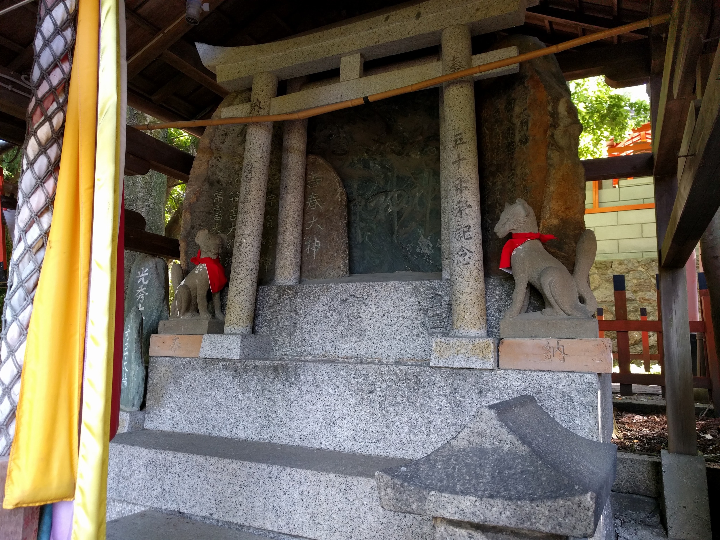 IMG_20160505_091448.jpg