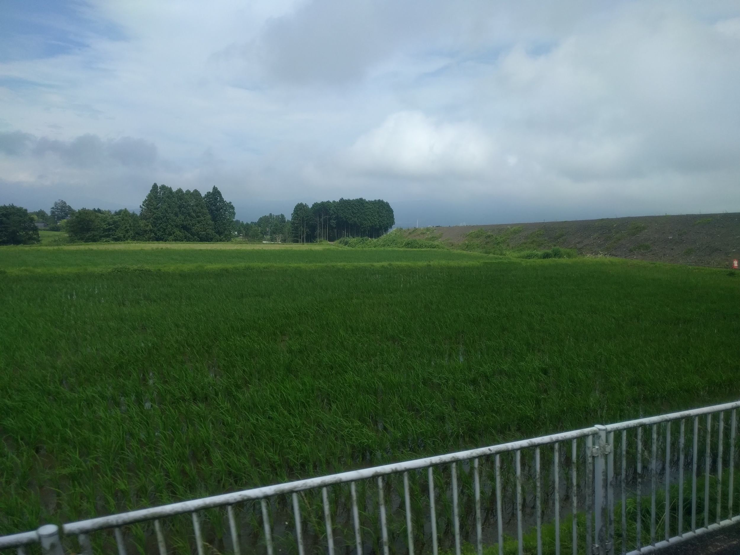 IMG_20160703_141409.jpg