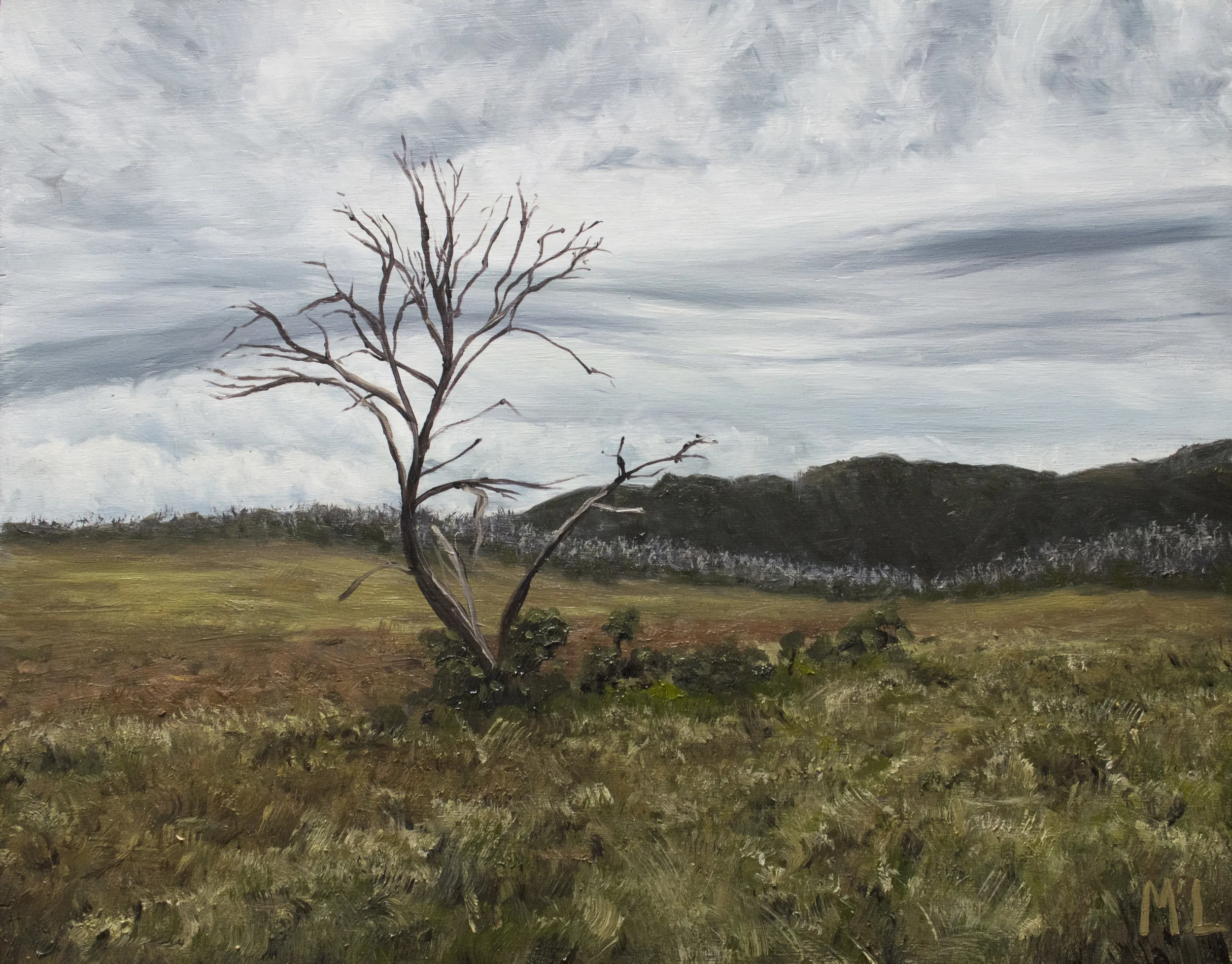 Wellington plains II