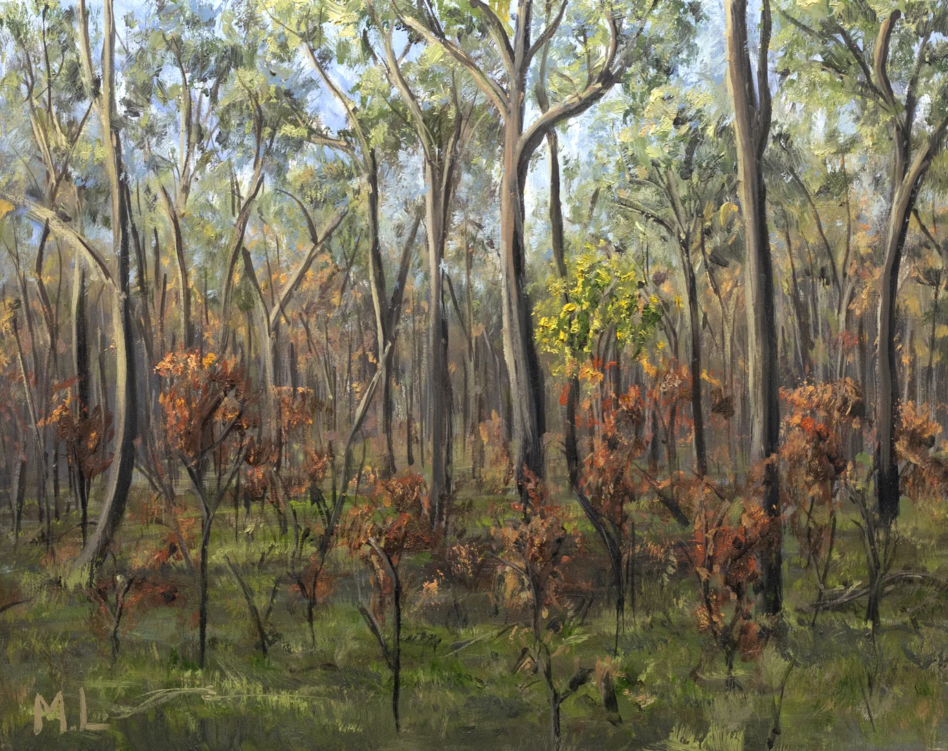 Burned Forrest, Beaufort.