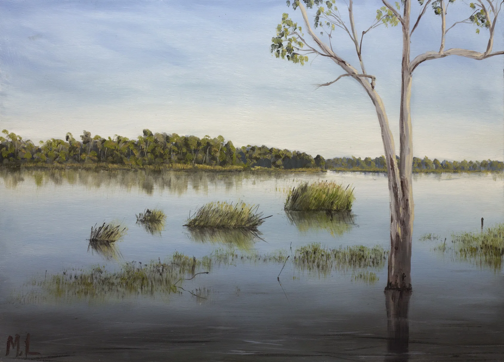 Barmah Lake Sunrise